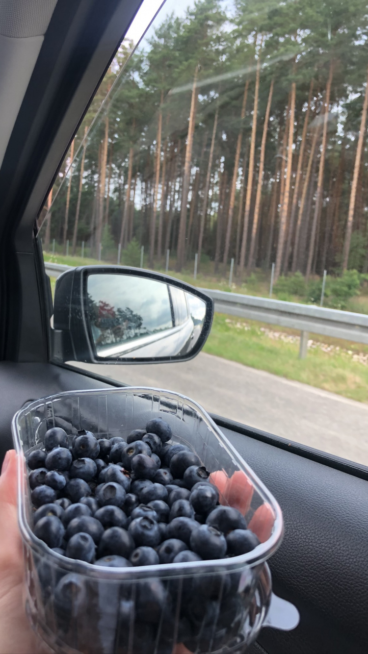 Cars, Science, Unbreakable, Biology, Automotive Mirror. Wallpaper in 750x1334 Resolution