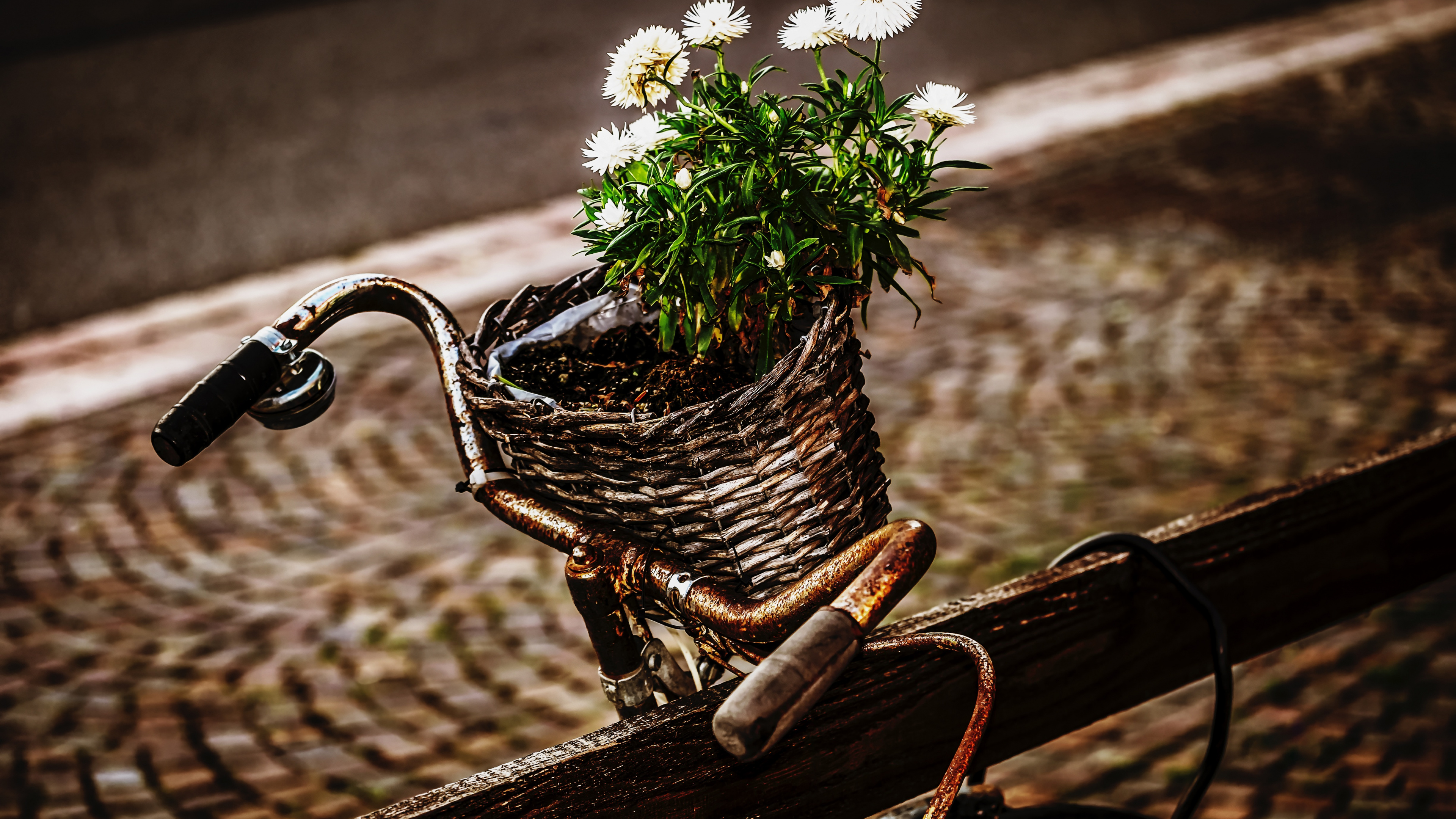 White Flowers in Brown Woven Basket on Brown Wooden Bench. Wallpaper in 3840x2160 Resolution