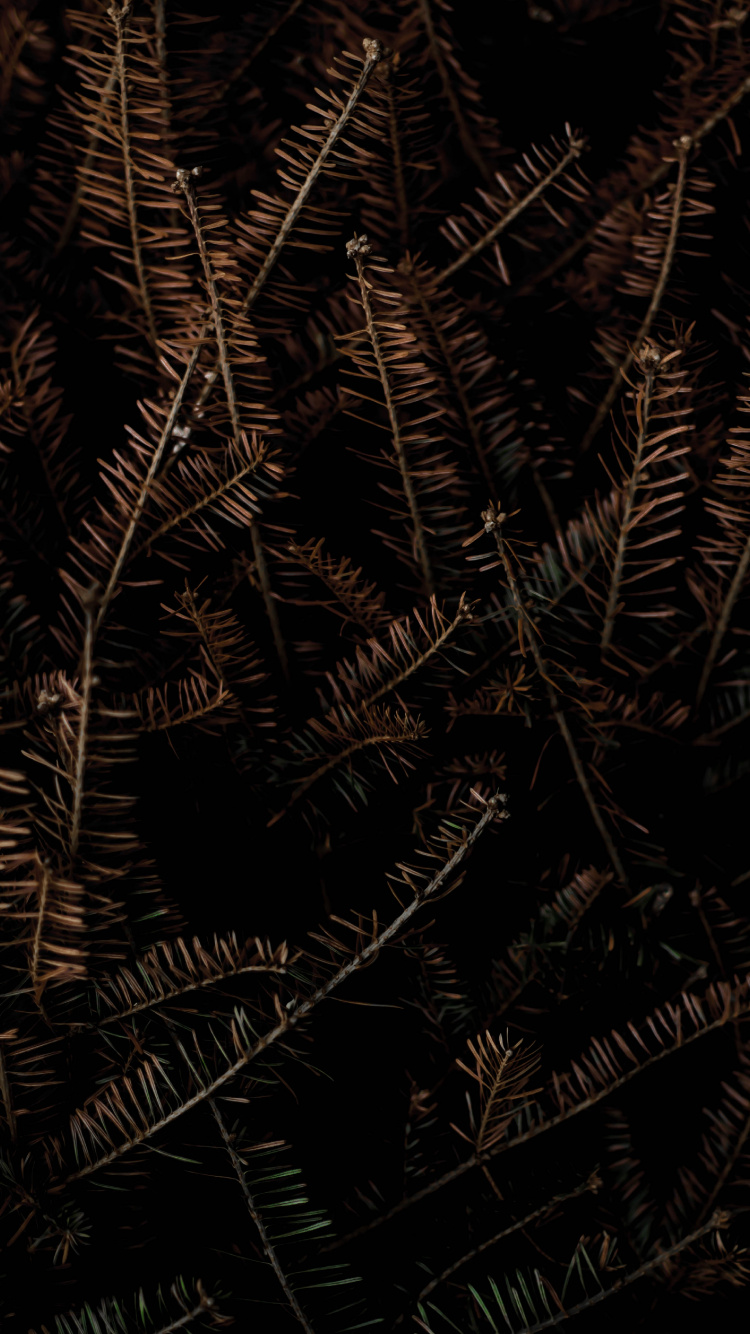 Schwarz Und Braun, Poster, Gallerix, Kunst, Andere. Wallpaper in 750x1334 Resolution