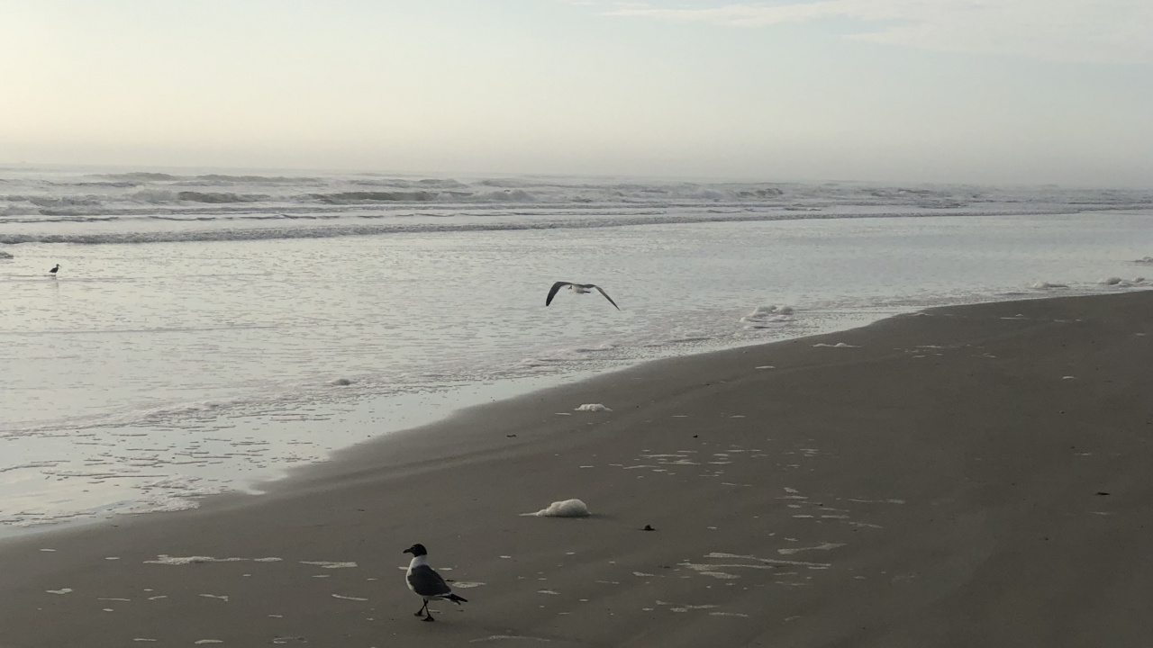 大海, 风波, 海洋, 人体内的水, 流体 壁纸 1280x720 允许