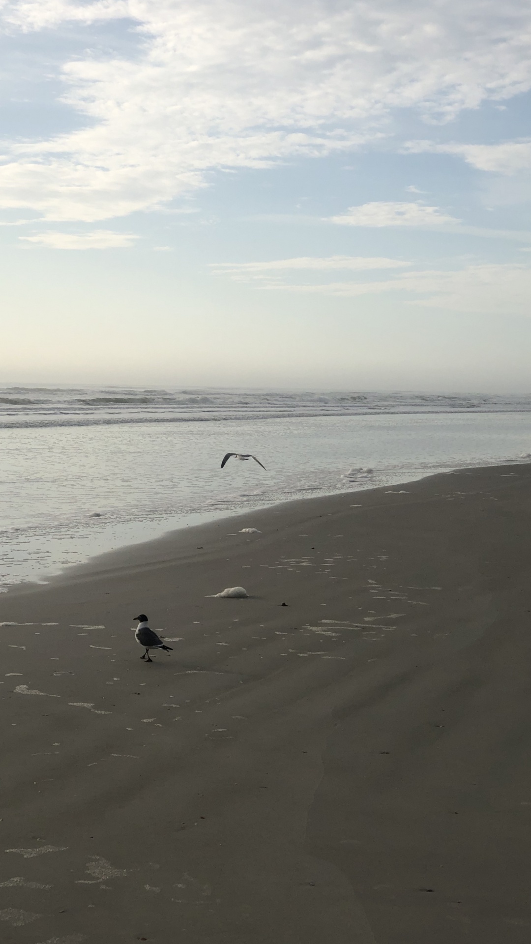 Mer, le Vent Vague, Eau, Corps de L'eau, Fluide. Wallpaper in 1080x1920 Resolution