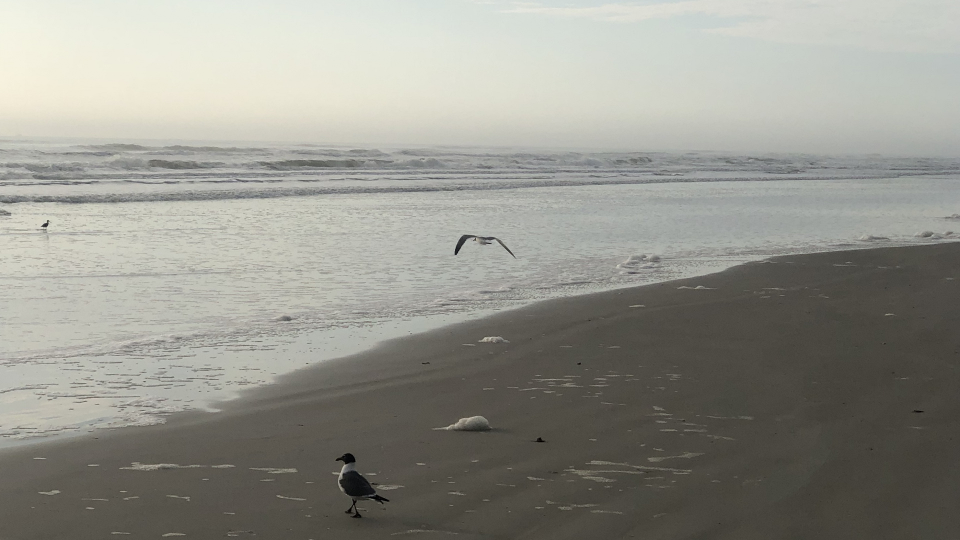 Mer, le Vent Vague, Eau, Corps de L'eau, Fluide. Wallpaper in 1920x1080 Resolution