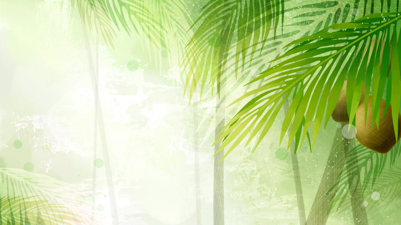 Palmera Verde Cerca de la Cortina Blanca Transparente. Wallpaper in 1280x720 Resolution