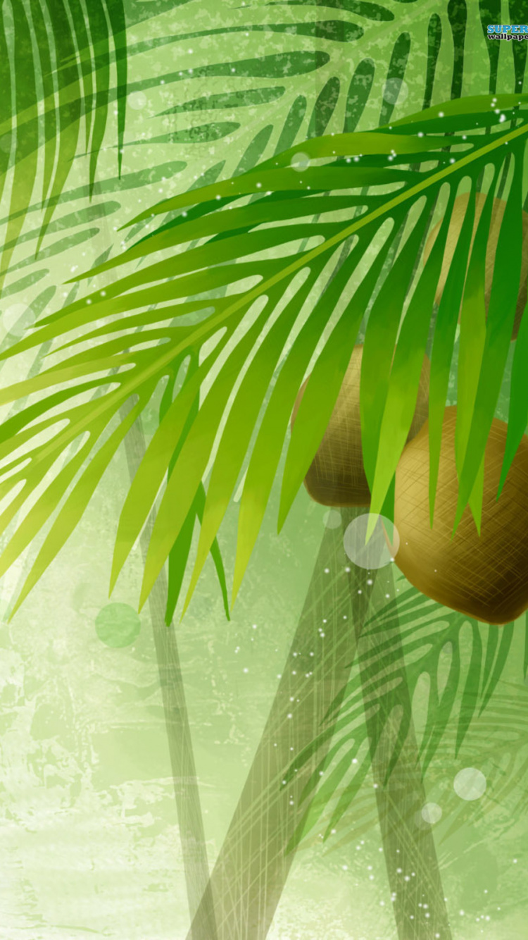 Palmera Verde Cerca de la Cortina Blanca Transparente. Wallpaper in 750x1334 Resolution