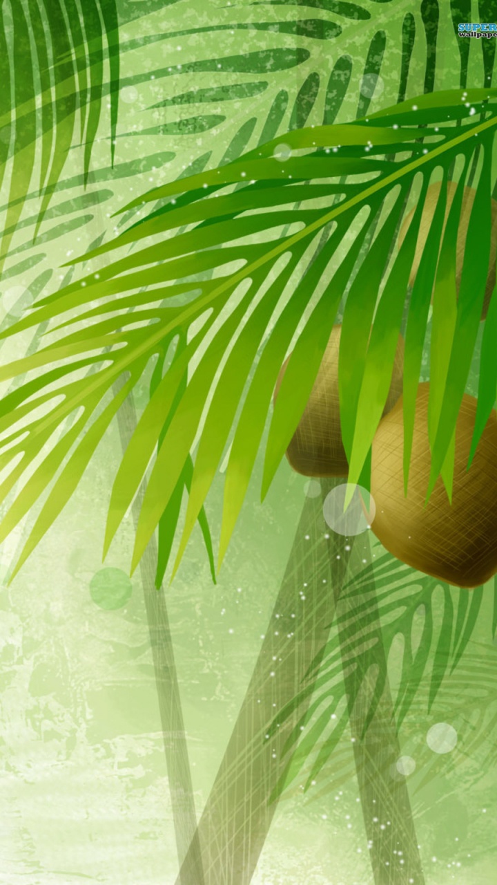 Grüne Palme in Der Nähe Von Weißem Bloßem Vorhang. Wallpaper in 720x1280 Resolution