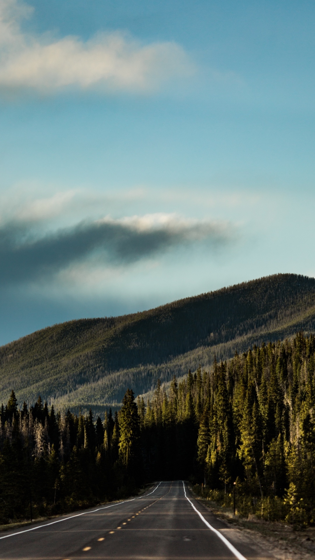 Conduciendo en un Bosque, Carretera, Montaña, la Superficie de la Carretera, Pendiente. Wallpaper in 1080x1920 Resolution