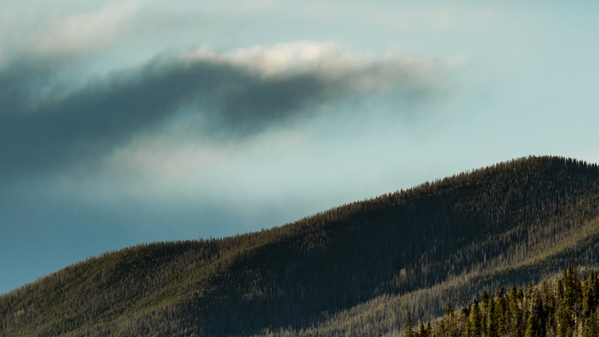 Conduciendo en un Bosque, Carretera, Montaña, la Superficie de la Carretera, Pendiente. Wallpaper in 1920x1080 Resolution