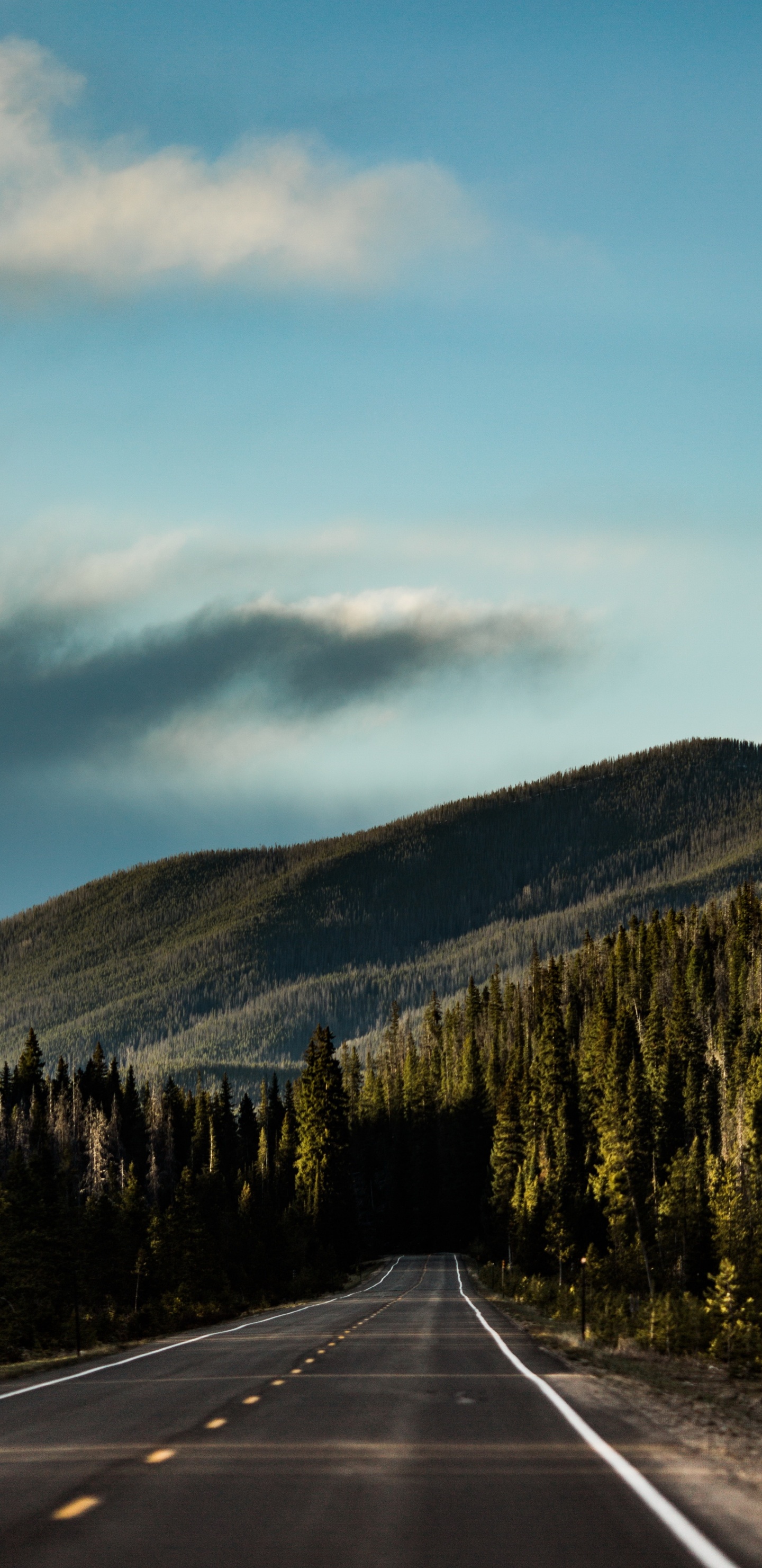 Driving in a Forest, Forest, Road, Cloud, Mountain. Wallpaper in 1440x2960 Resolution