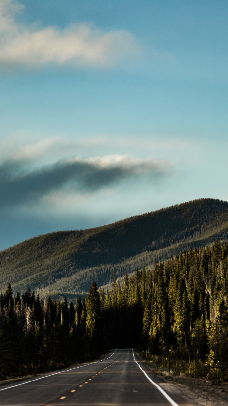 im Wald Fahren, Wald, Road, Cloud, Fahrbahn. Wallpaper in 750x1334 Resolution