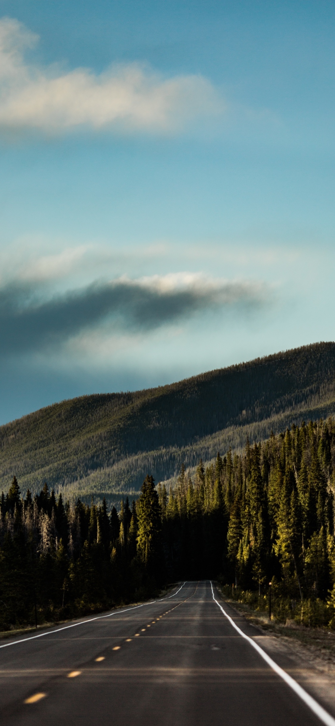 森林, 斜坡, 自然景观, 沥青, 阳光 壁纸 1125x2436 允许
