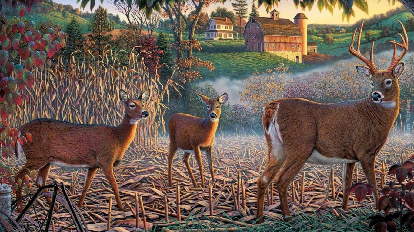 Brown Deer on Green Grass During Daytime. Wallpaper in 1366x768 Resolution