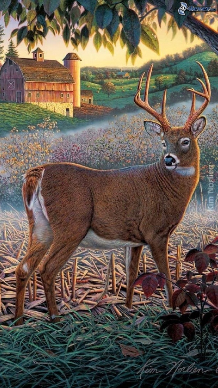 Brown Deer on Green Grass During Daytime. Wallpaper in 720x1280 Resolution