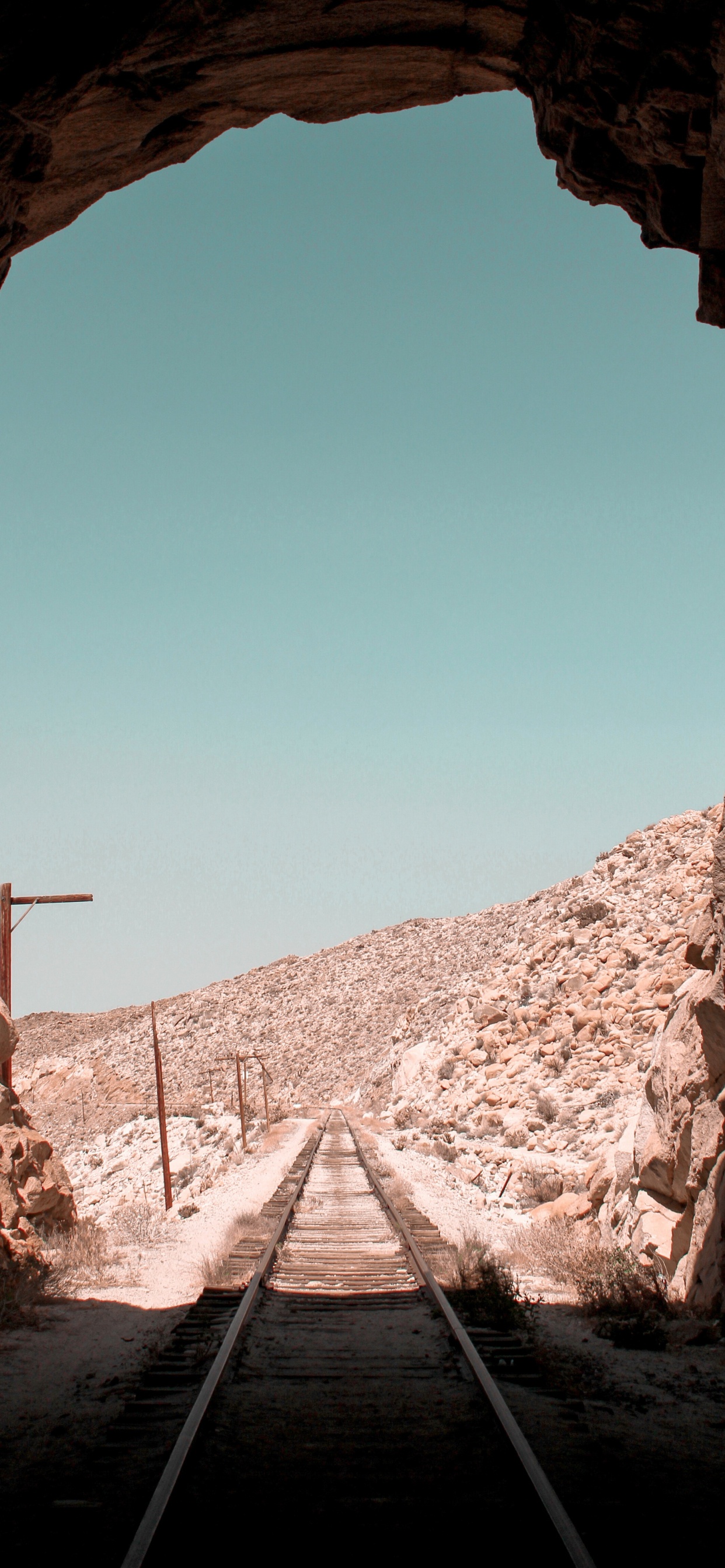 Morena, Madera, Tintes y Matices, Suelo. Wallpaper in 1242x2688 Resolution