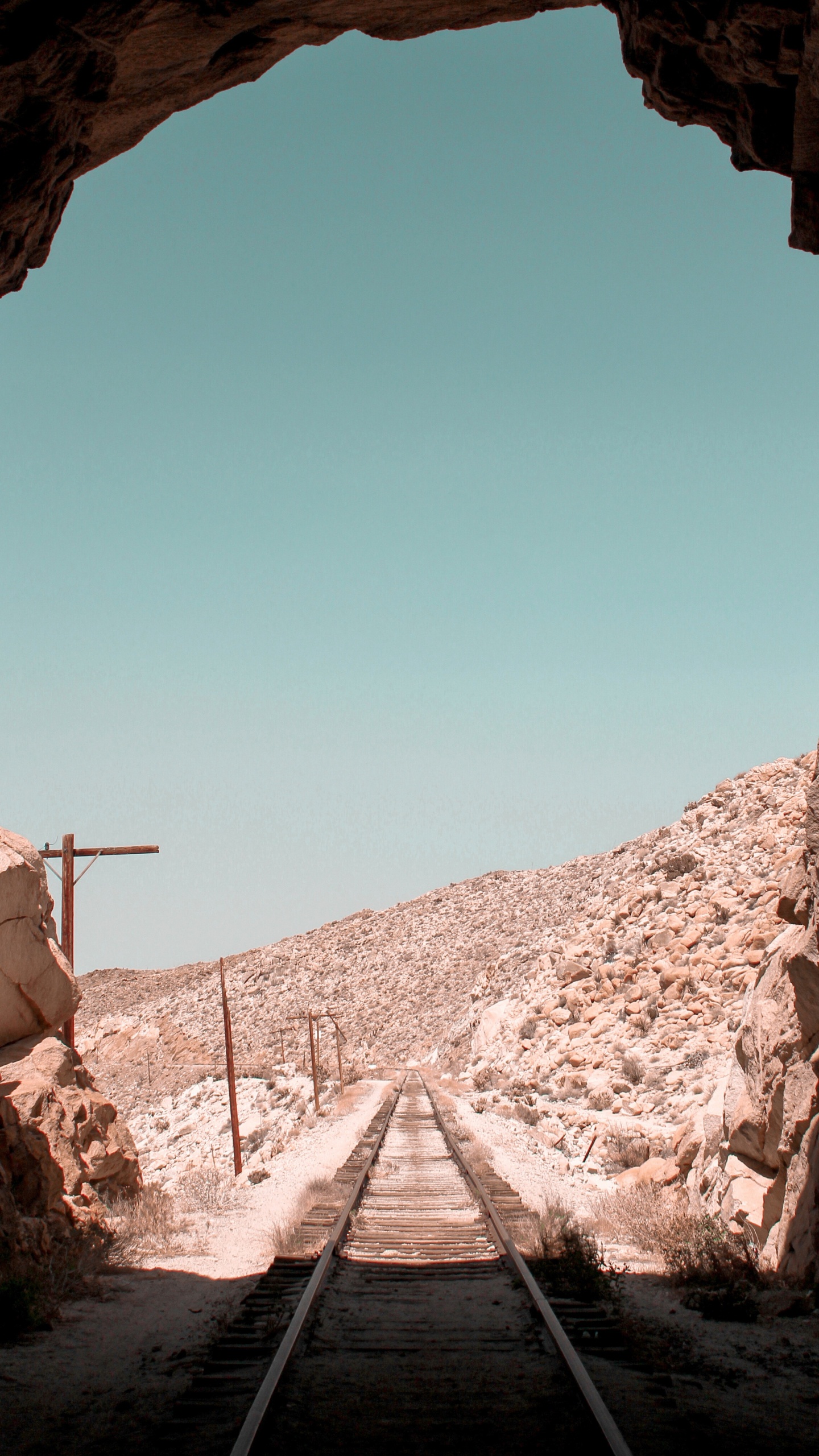 棕色, 木, 和阴影的色彩, 地平线, 的土壤 壁纸 1440x2560 允许