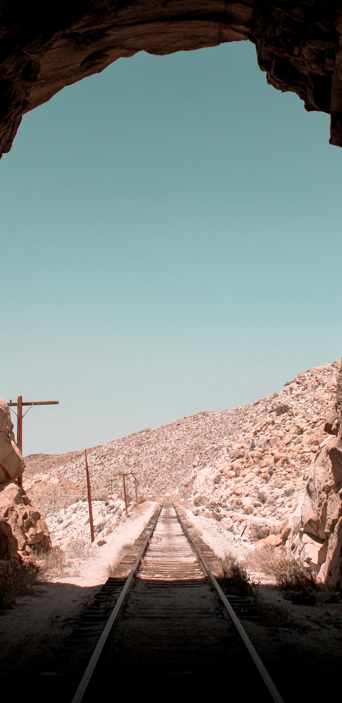 棕色, 木, 和阴影的色彩, 地平线, 的土壤 壁纸 1440x2960 允许