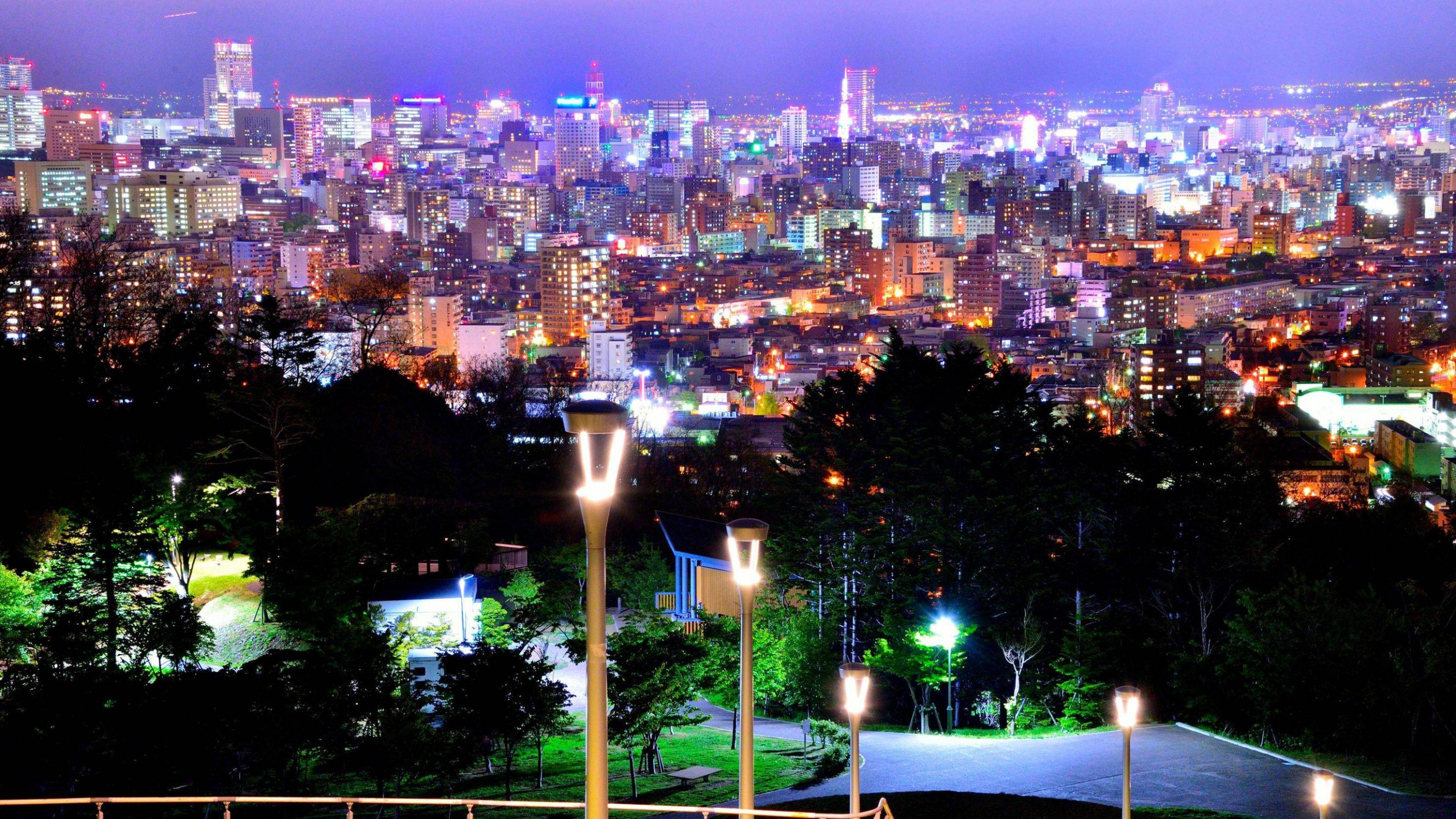 Green Tree Near City Buildings During Night Time. Wallpaper in 2560x1440 Resolution