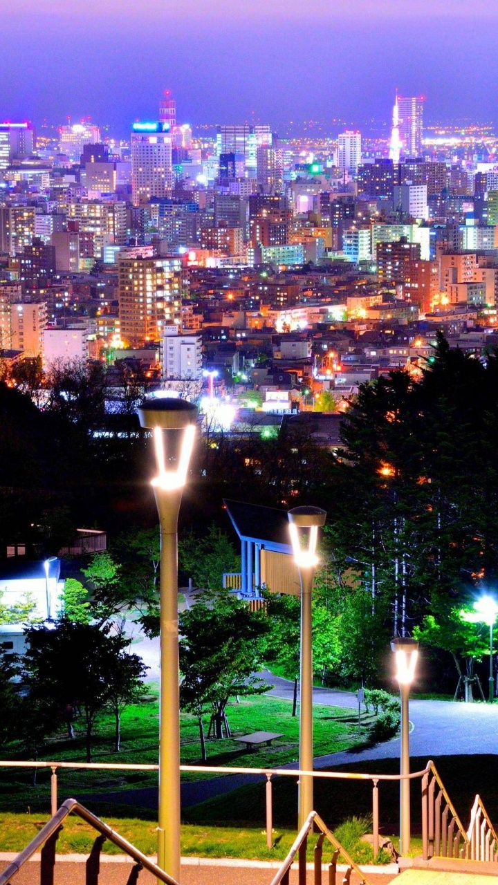 Green Tree Near City Buildings During Night Time. Wallpaper in 720x1280 Resolution
