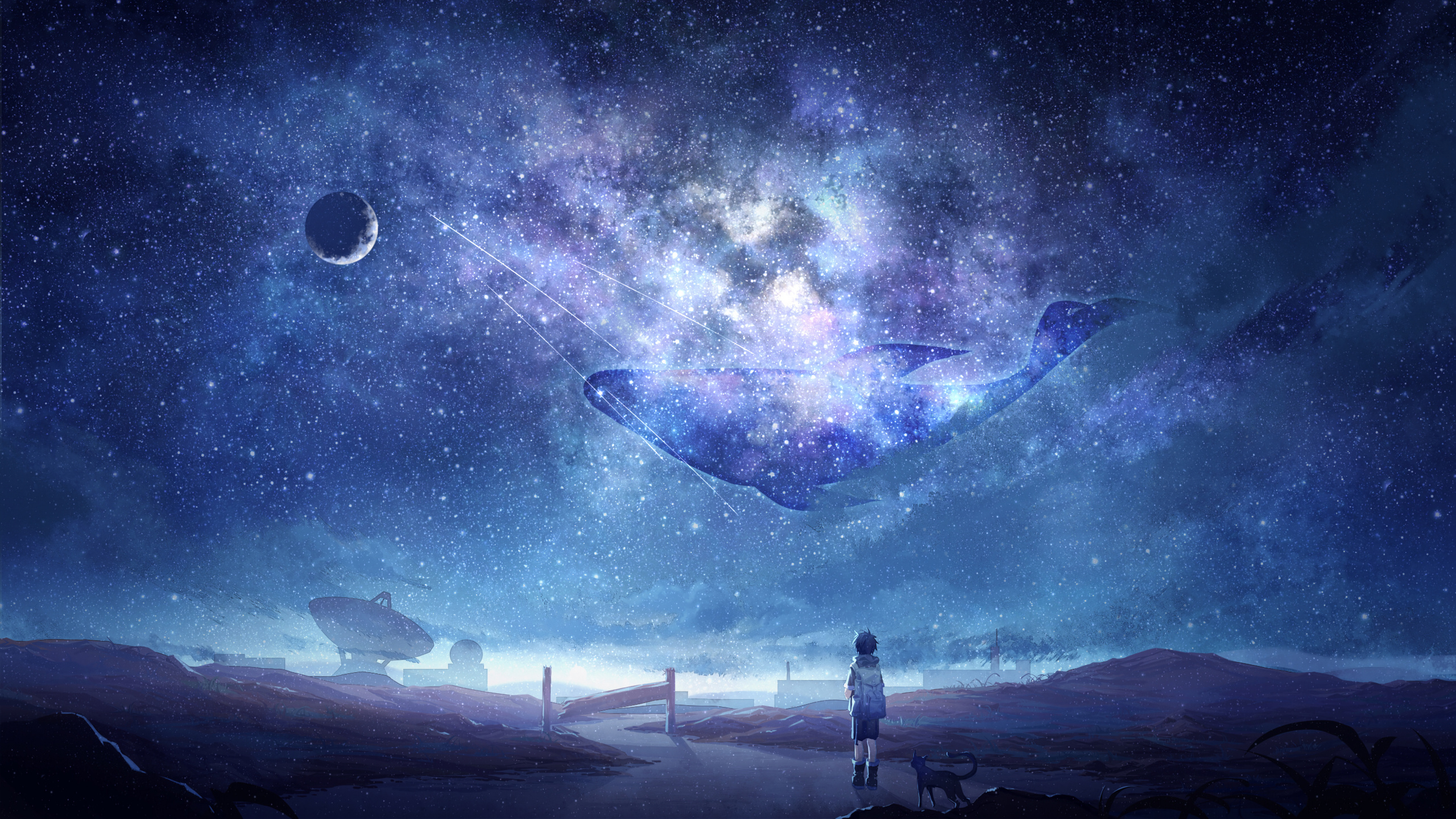 Illustration, Anime, Digital Art, Atmosphere, Cloud. Wallpaper in 2560x1440 Resolution