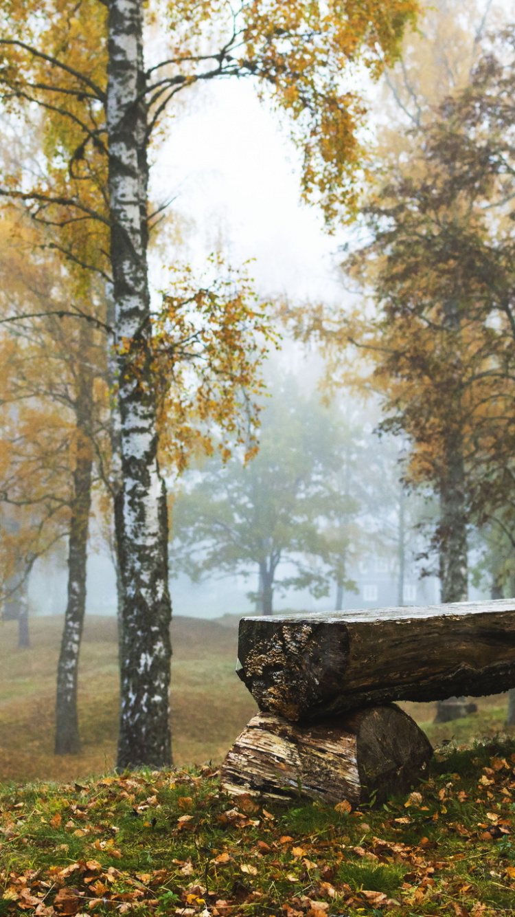 Brown Wooden Bench on Green Grass Field Near Brown Trees During Daytime. Wallpaper in 750x1334 Resolution
