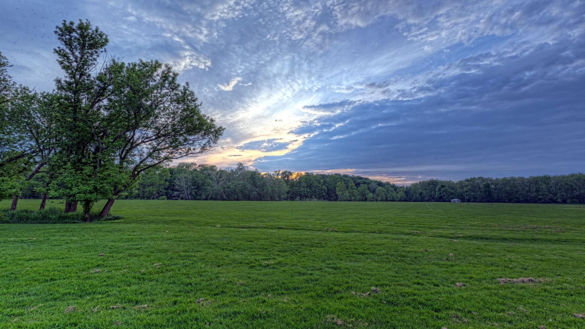 Campo de Hierba Verde Con Árboles Bajo un Cielo Azul Durante el Día. Wallpaper in 1920x1080 Resolution
