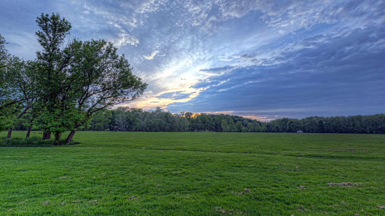 Green Grass Field With Trees Under Blue Sky During Daytime. Wallpaper in 1280x720 Resolution