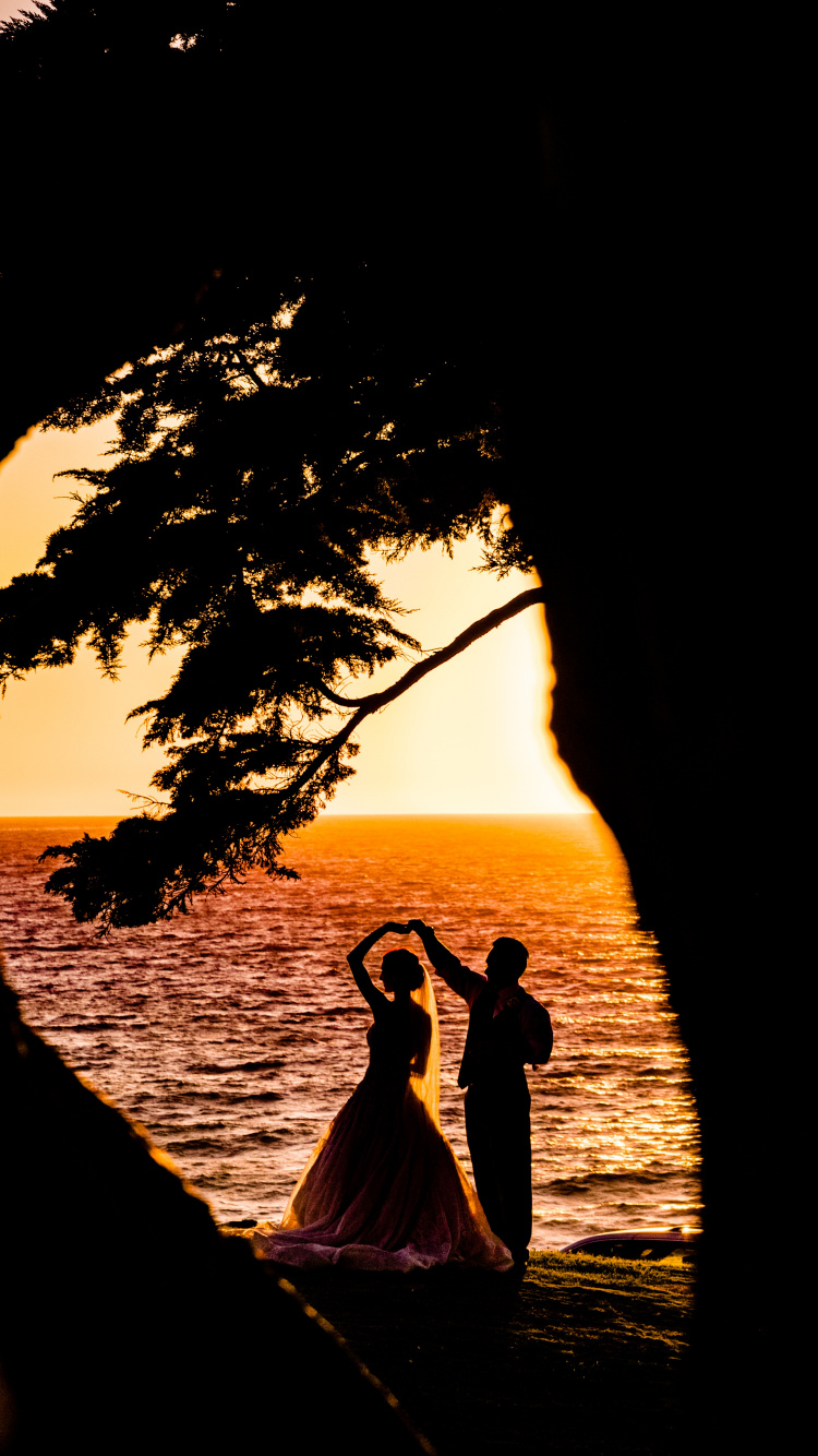 Sonnenuntergang, Baum, Sonnenaufgang, Wasser, Woody Pflanze. Wallpaper in 750x1334 Resolution