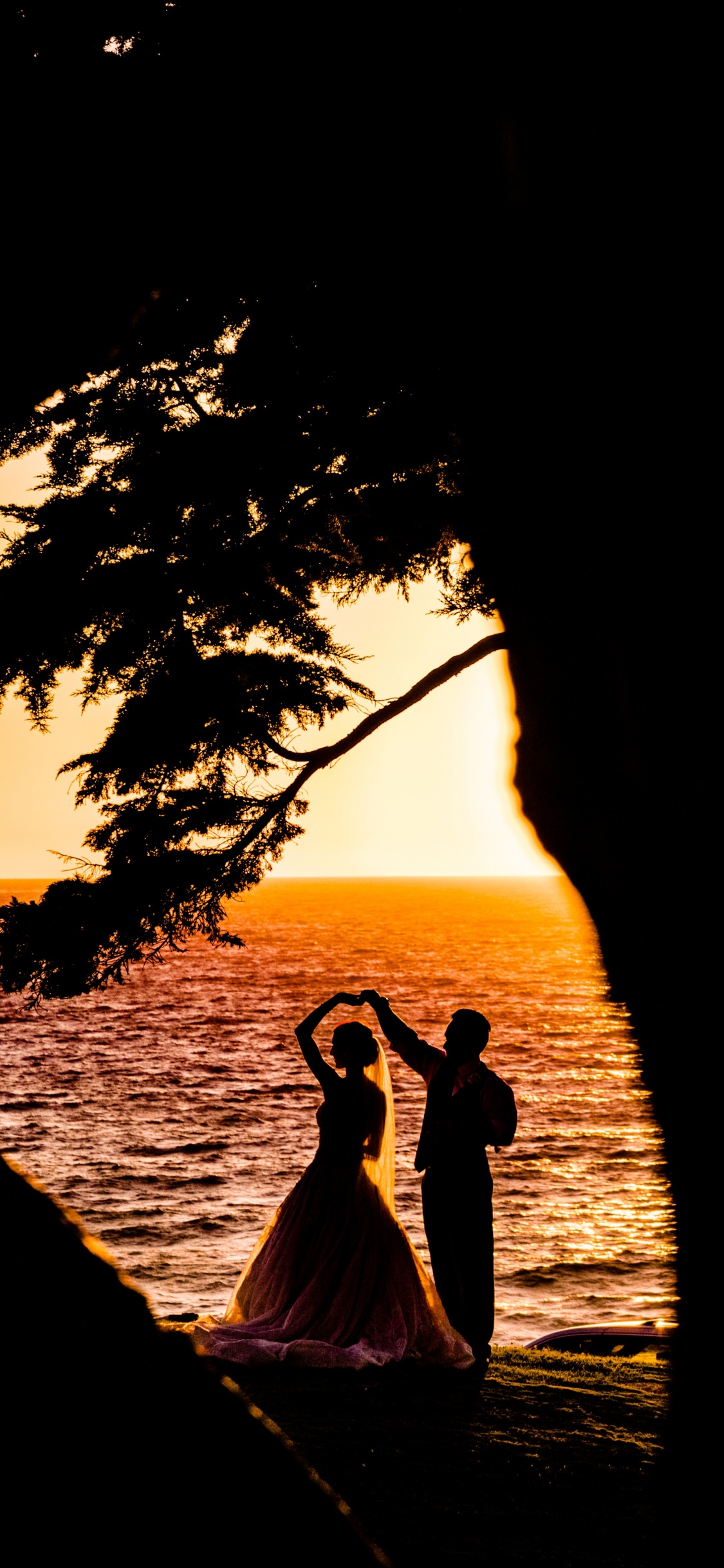 Sunset, MARBL, Tree, Sunrise, Water. Wallpaper in 1125x2436 Resolution