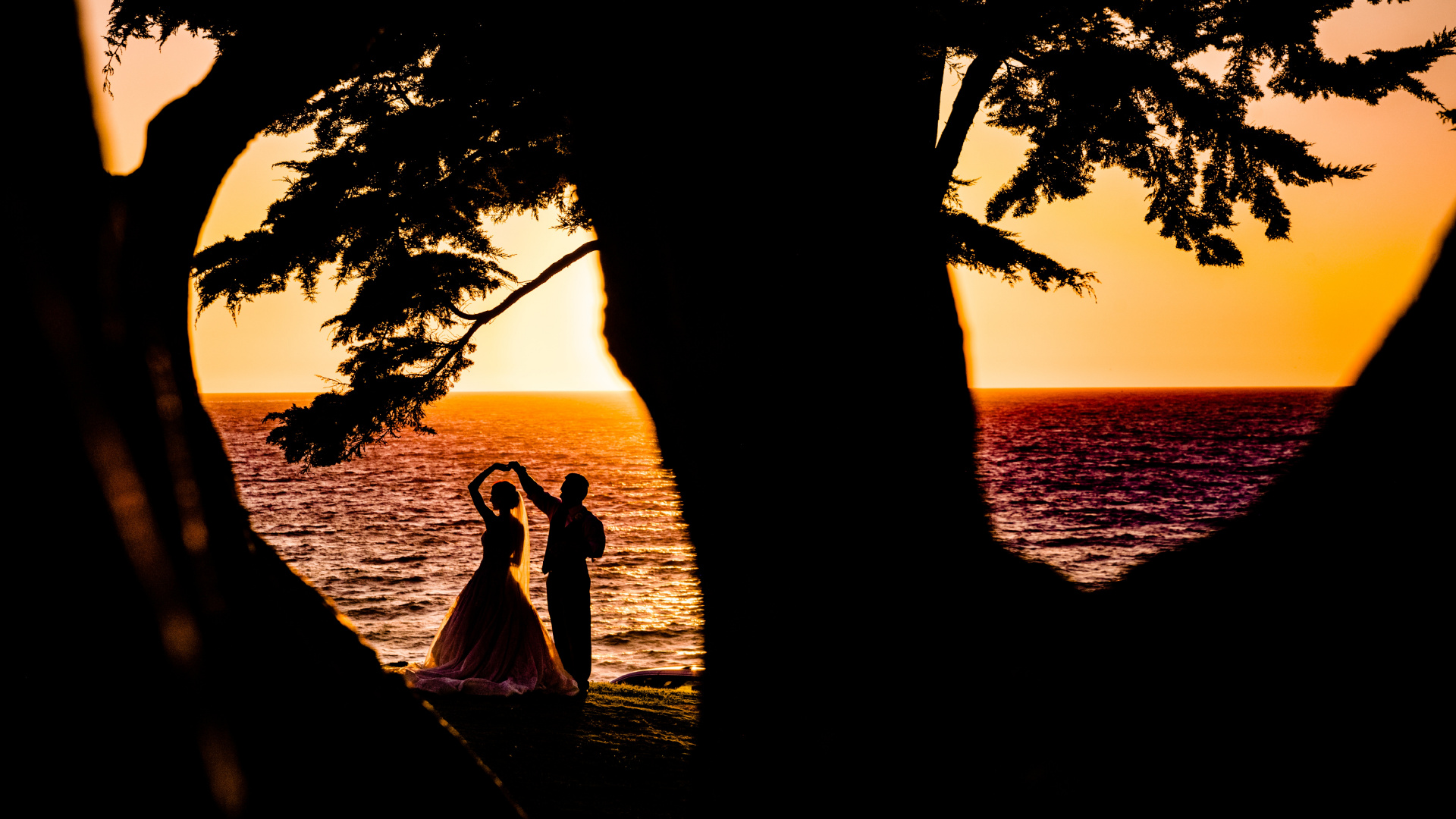 Sunset, MARBL, Tree, Sunrise, Water. Wallpaper in 1920x1080 Resolution