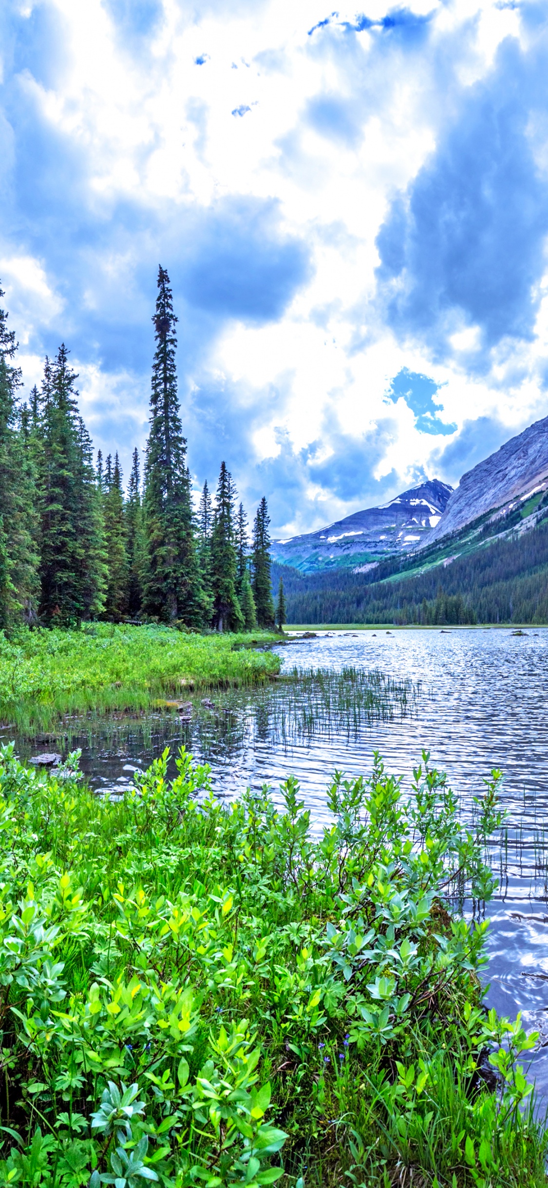 Green Trees Near Lake Under White Clouds and Blue Sky During Daytime. Wallpaper in 1125x2436 Resolution