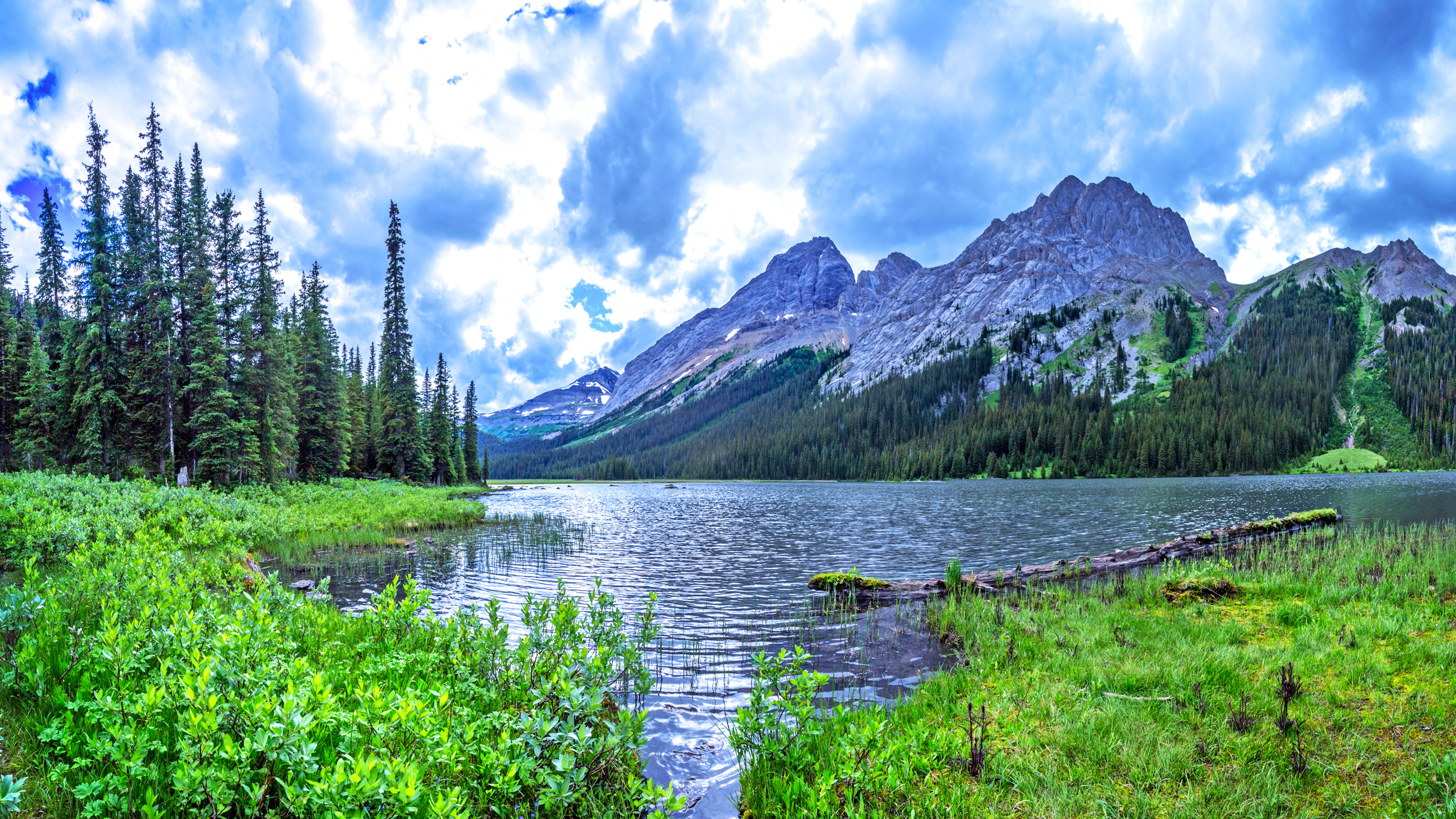 Green Trees Near Lake Under White Clouds and Blue Sky During Daytime. Wallpaper in 3840x2160 Resolution
