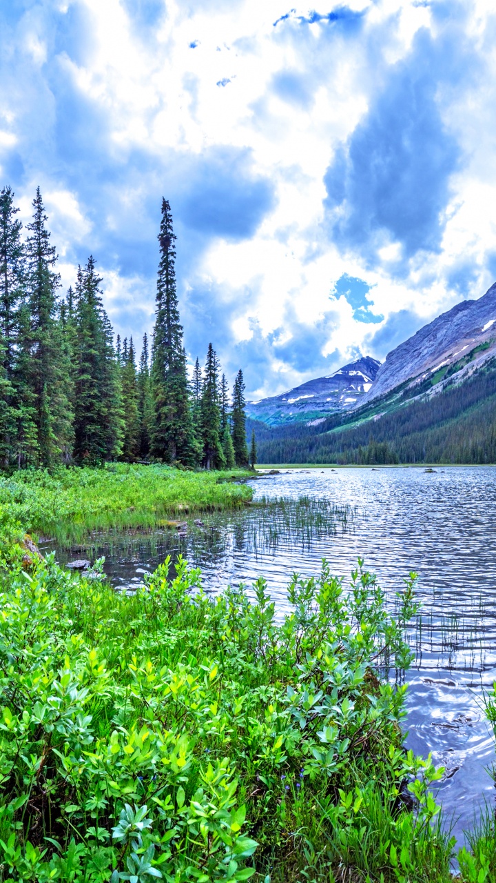 Green Trees Near Lake Under White Clouds and Blue Sky During Daytime. Wallpaper in 720x1280 Resolution