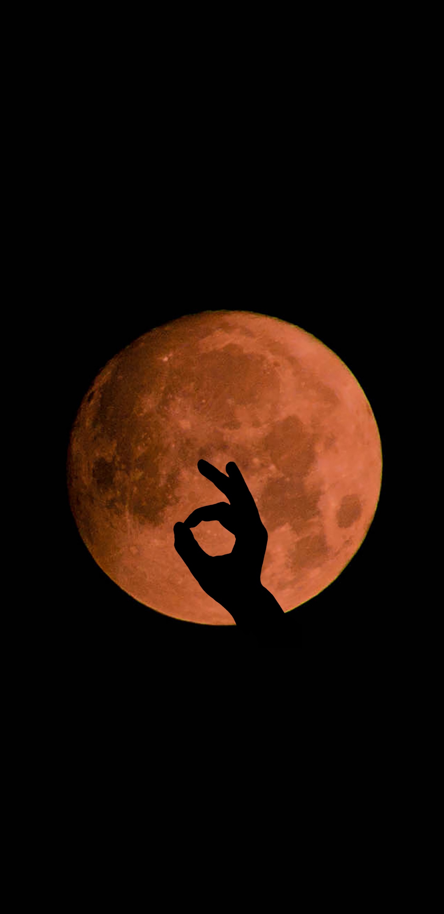 Luna Llena en el Cielo de la Noche Oscura. Wallpaper in 1440x2960 Resolution