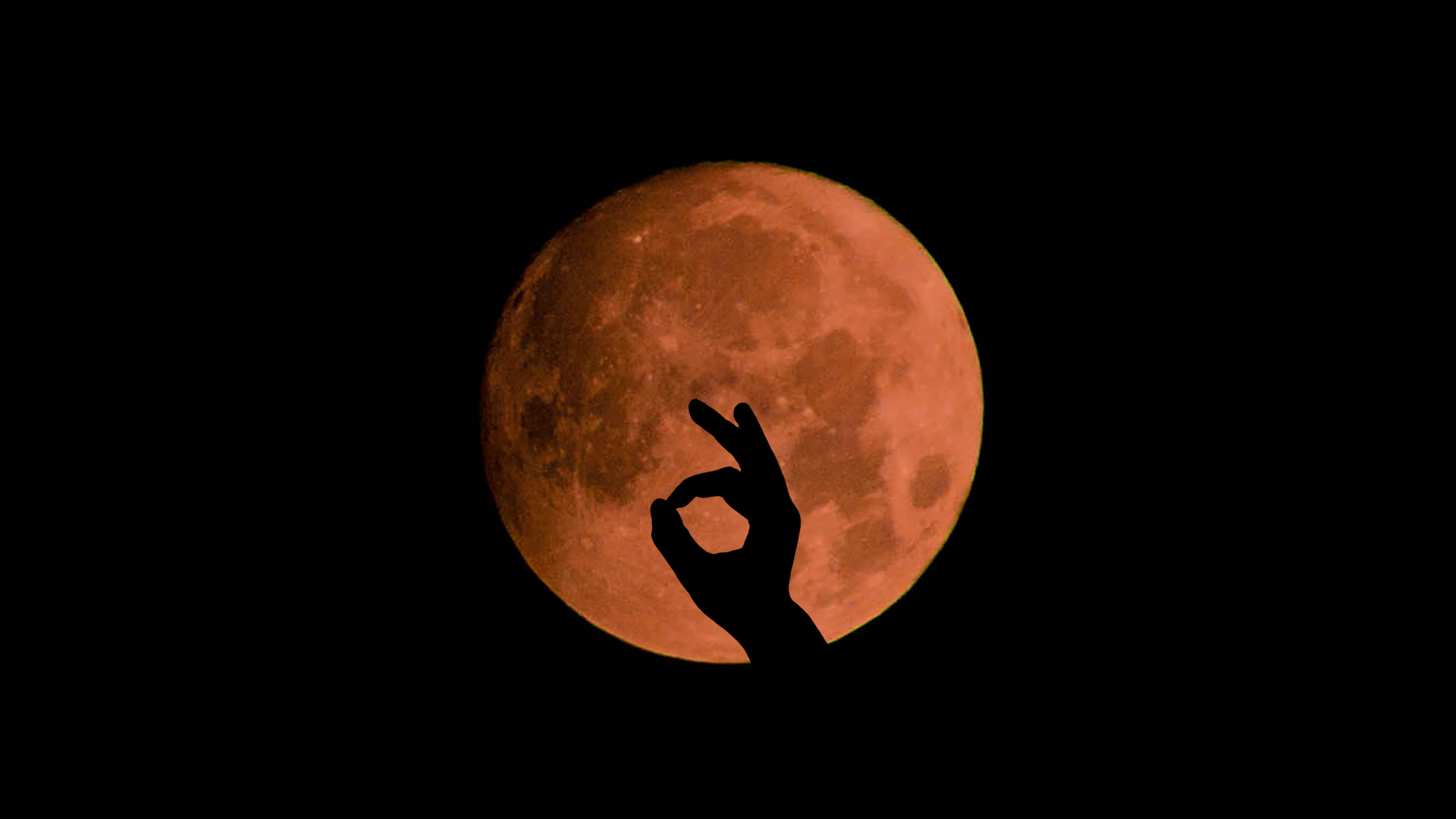 Luna Llena en el Cielo de la Noche Oscura. Wallpaper in 1920x1080 Resolution