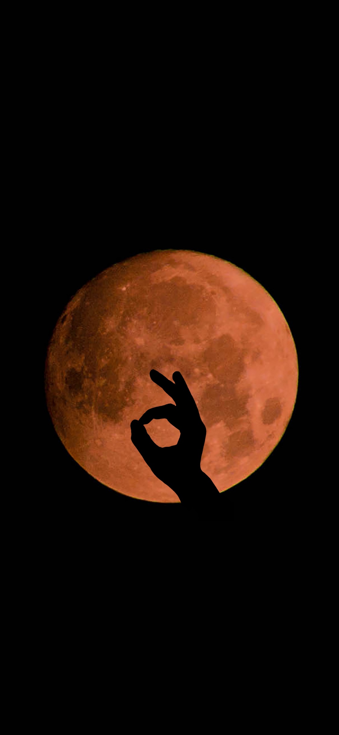 Pleine Lune Dans le Ciel Nocturne. Wallpaper in 1125x2436 Resolution