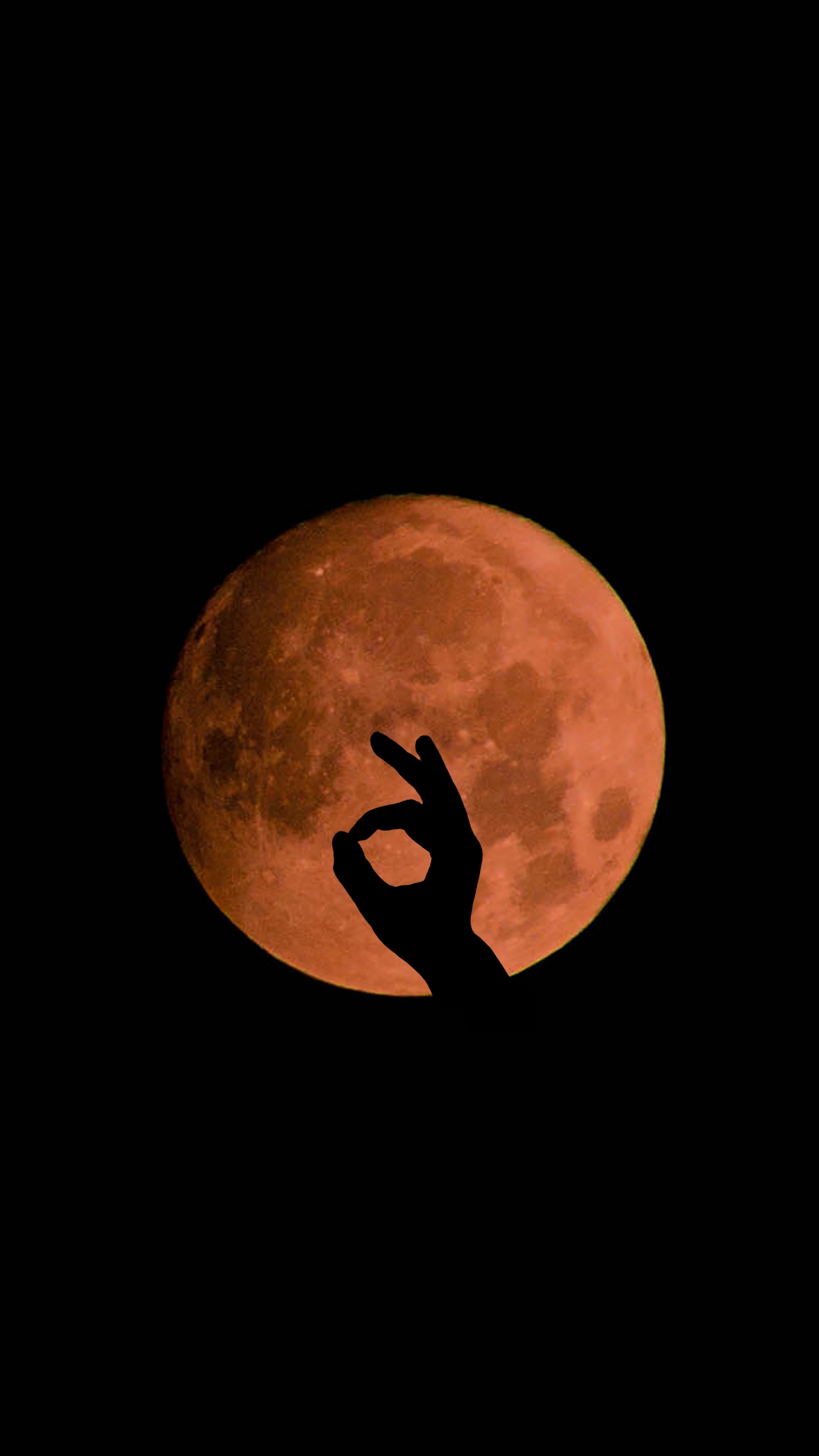 Vollmond am Dunklen Nachthimmel. Wallpaper in 1440x2560 Resolution