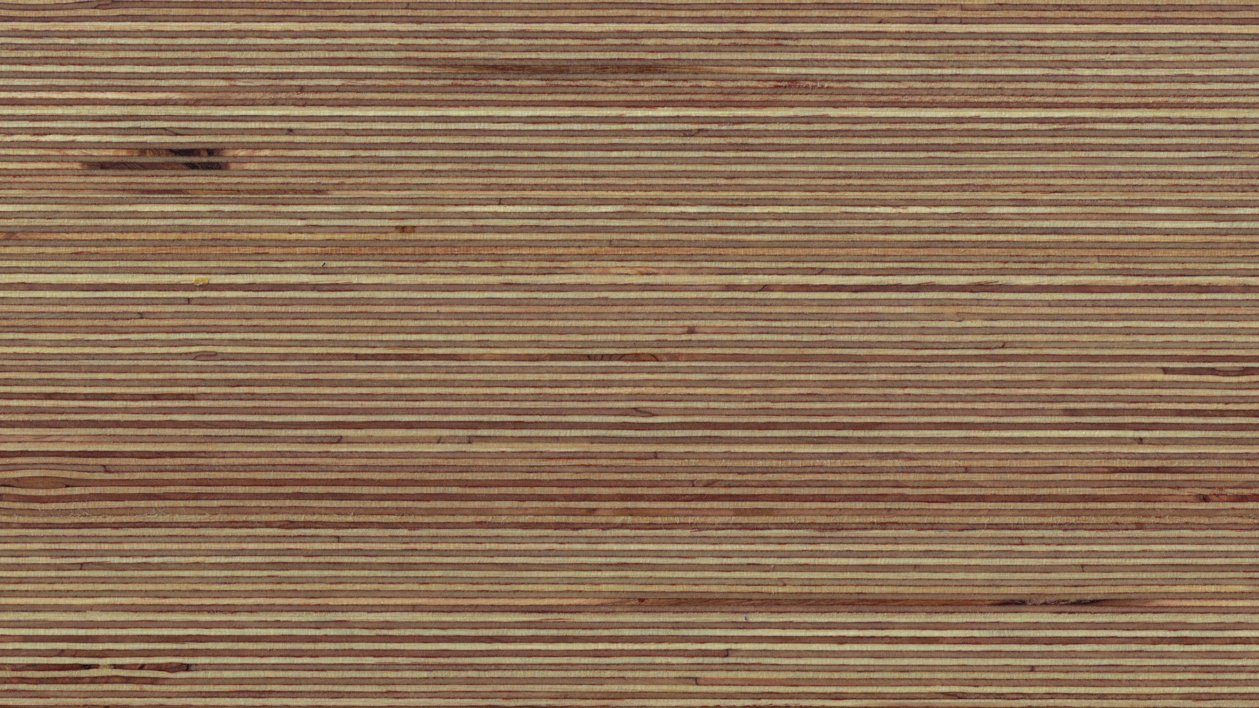 Mur en Bois Marron Pendant la Journée. Wallpaper in 2560x1440 Resolution