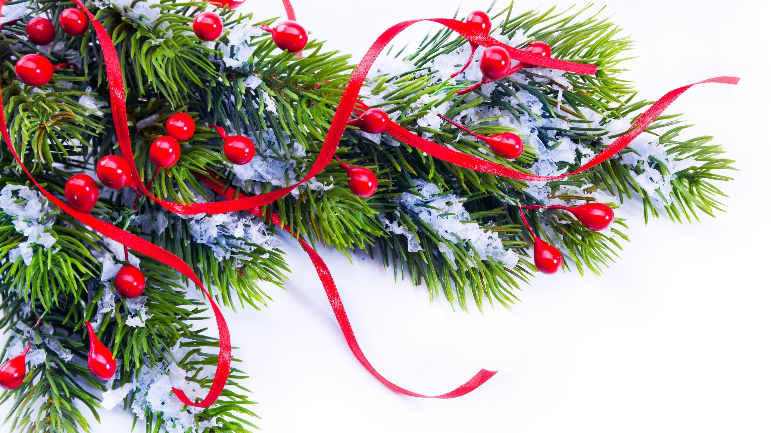 Christmas Day, Christmas Tree, Christmas Decoration, Branch, Tree. Wallpaper in 2560x1440 Resolution