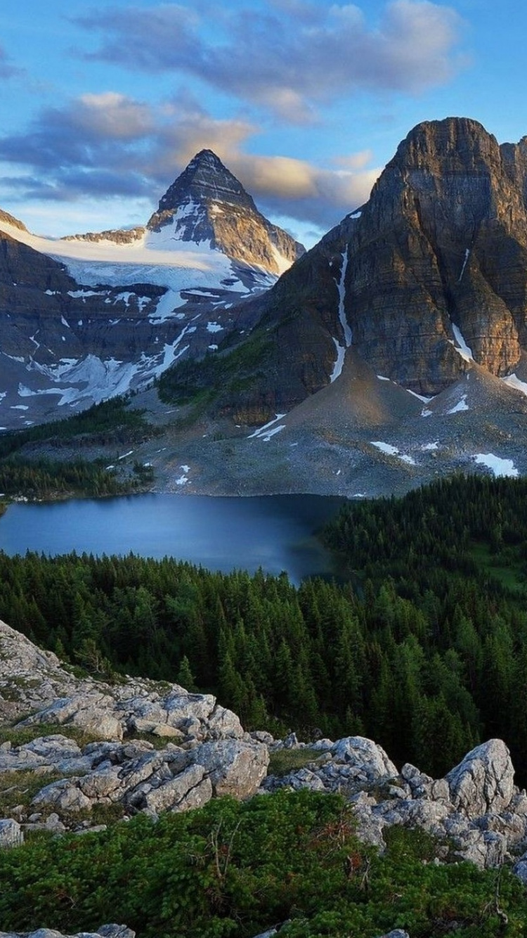 Green Pine Trees Near Lake and Mountain Under Blue Sky During Daytime. Wallpaper in 750x1334 Resolution