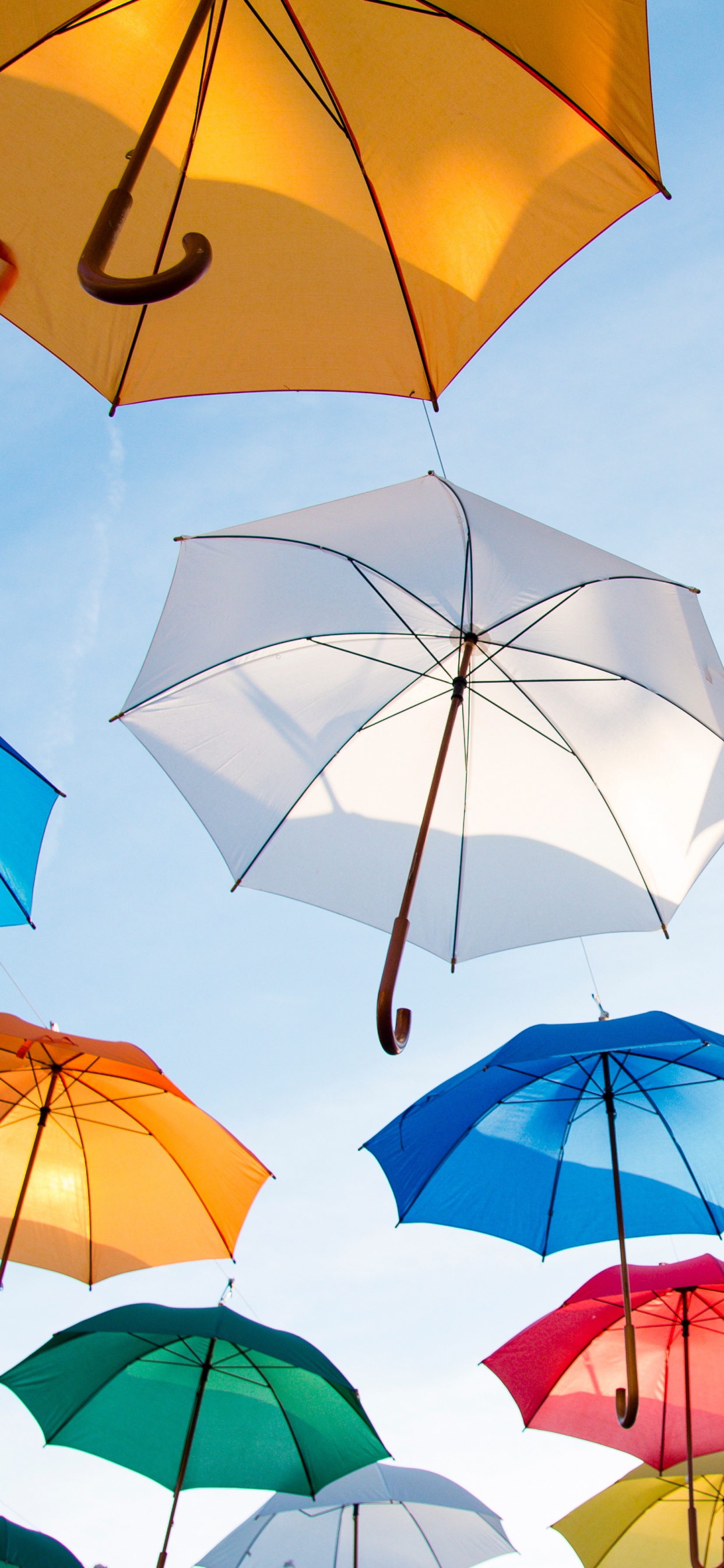 Lot de Parapluie Blanc et Rouge. Wallpaper in 1242x2688 Resolution