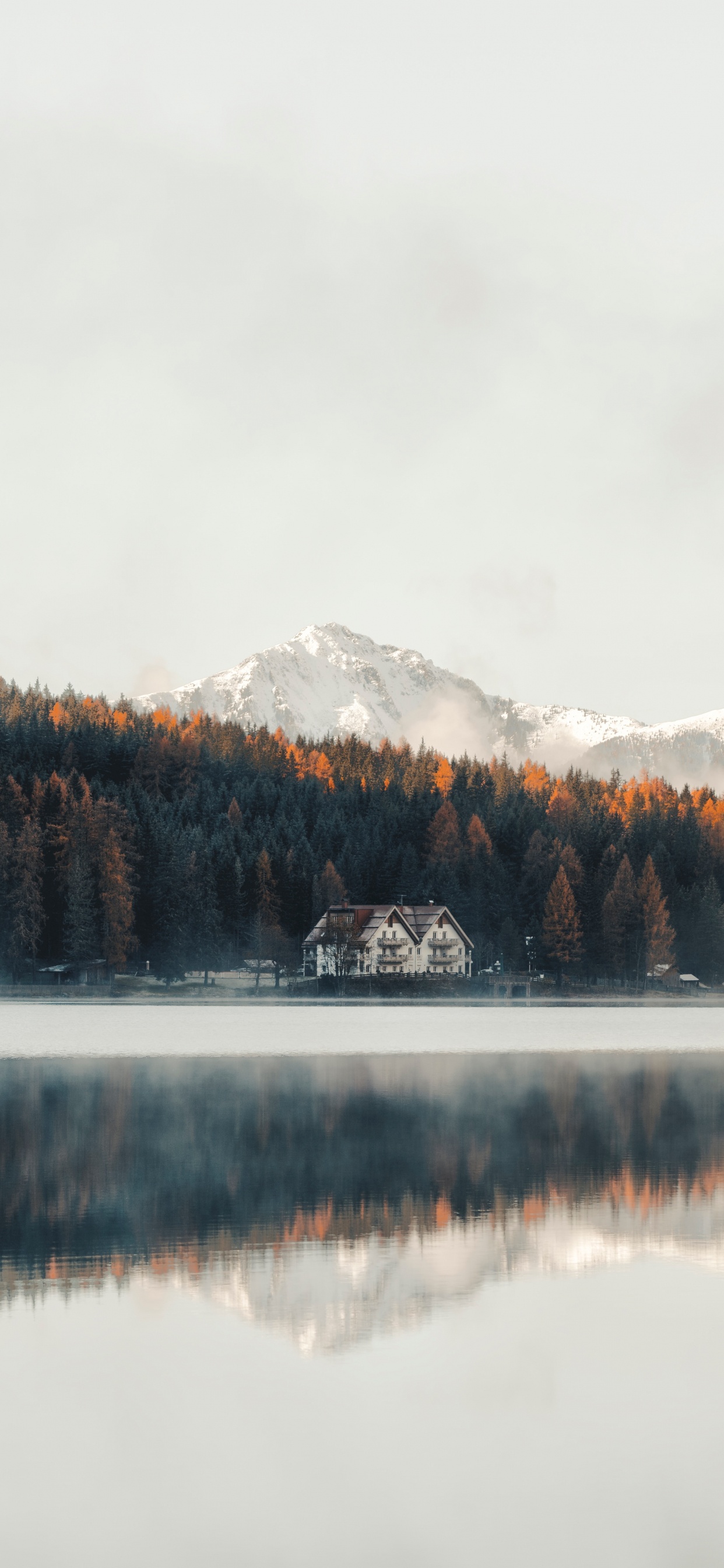 Nature, Water, Reflection, Lake, Tree. Wallpaper in 1242x2688 Resolution