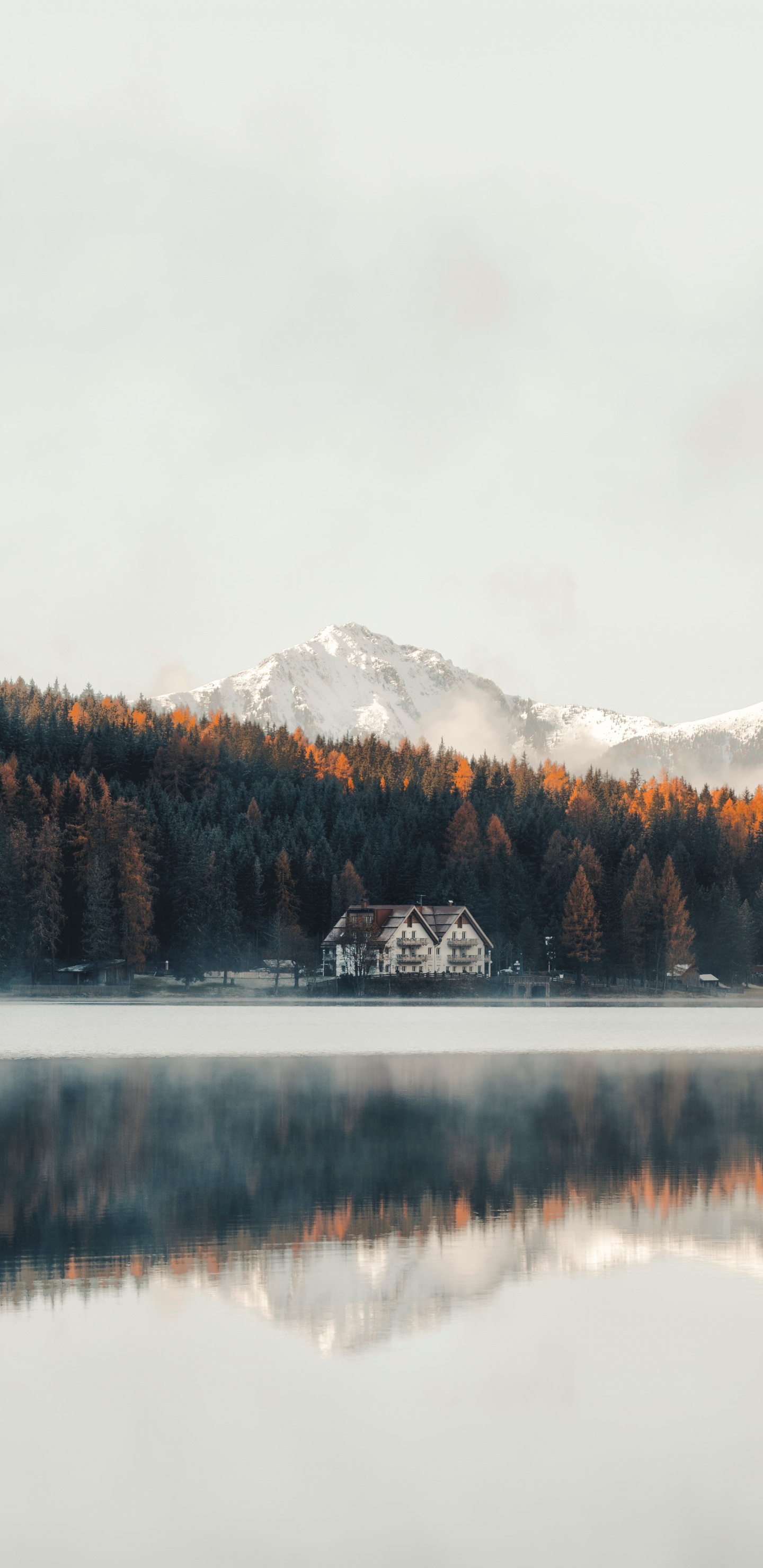 Nature, Water, Reflection, Lake, Tree. Wallpaper in 1440x2960 Resolution