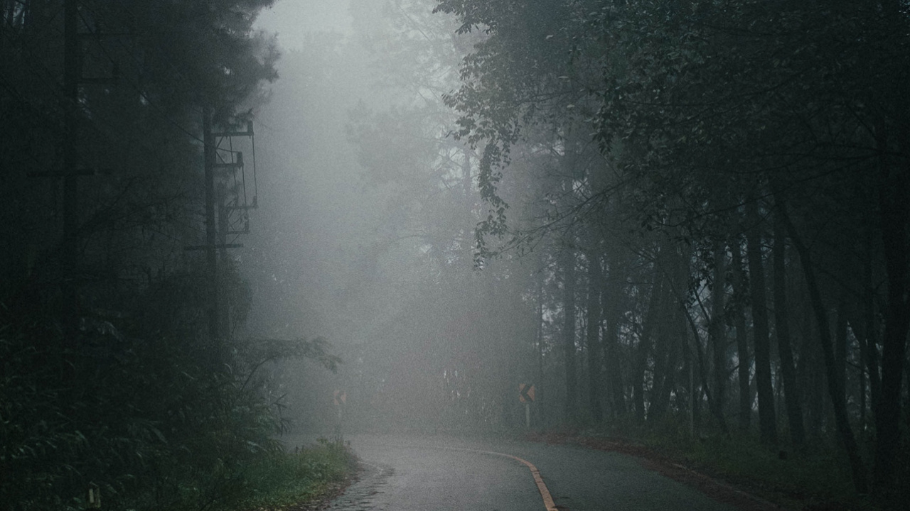 Fog, Tree, Road, Bridge, Cars. Wallpaper in 1280x720 Resolution
