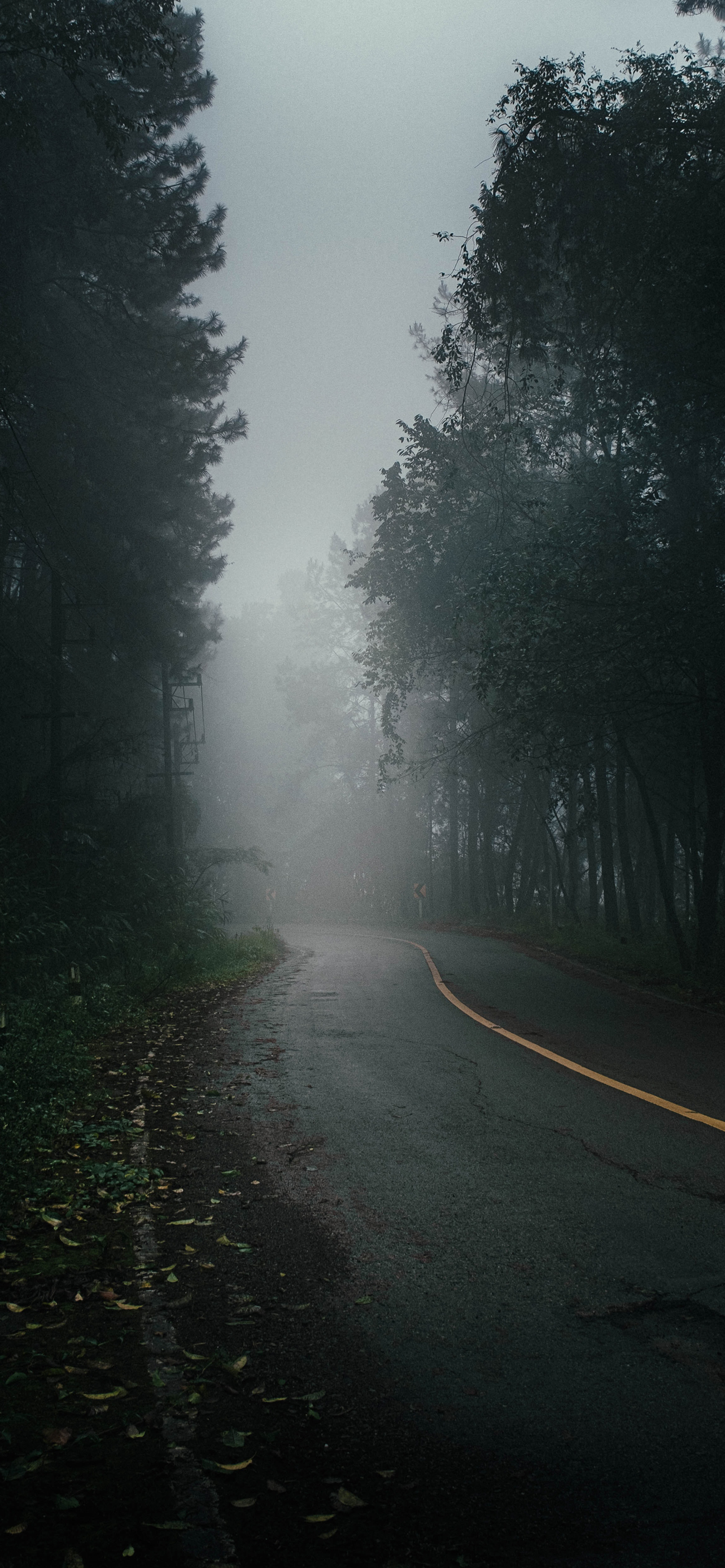 fog wallpaper phone