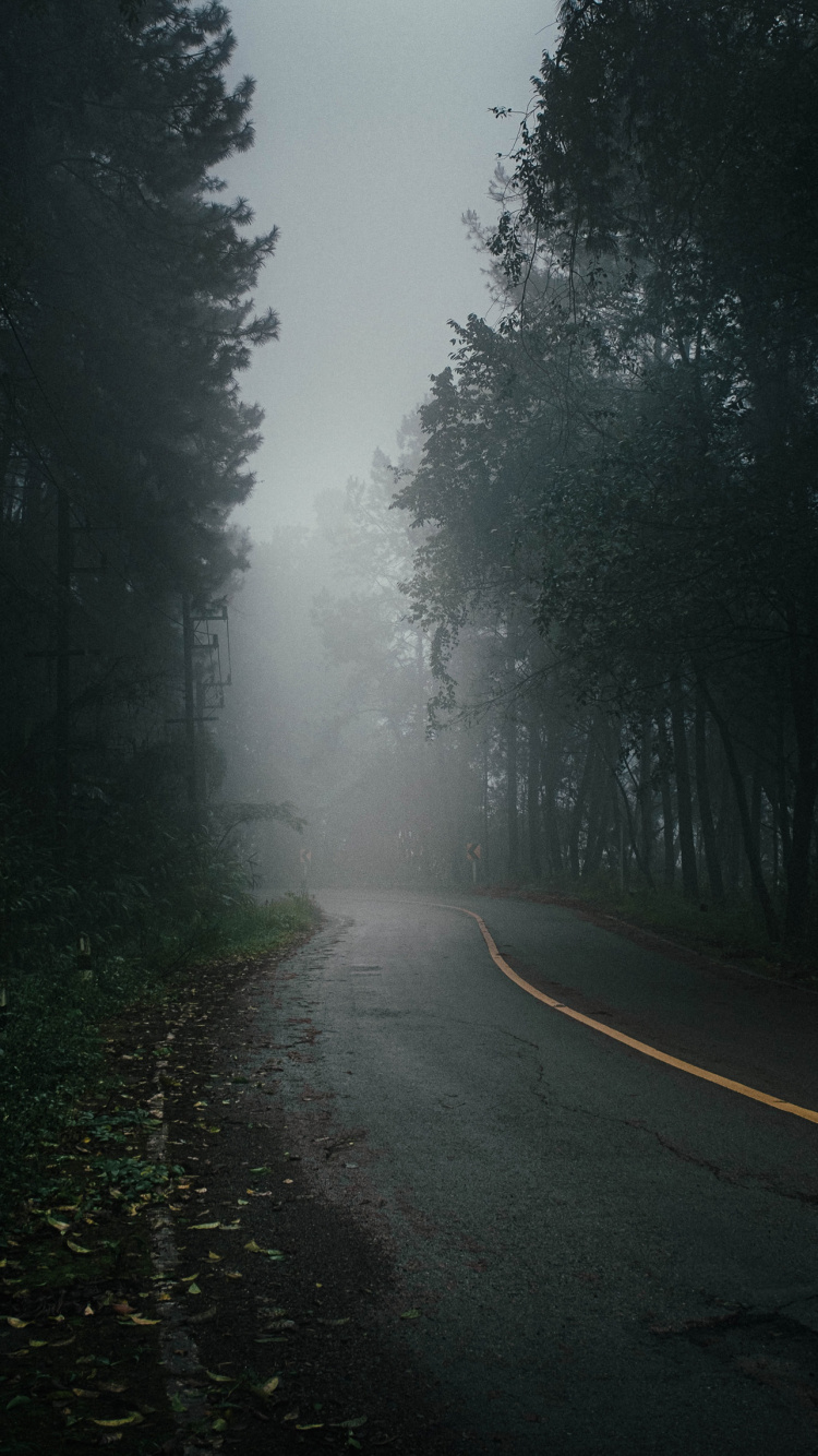 Fog, Tree, Road, Bridge, Cars. Wallpaper in 750x1334 Resolution