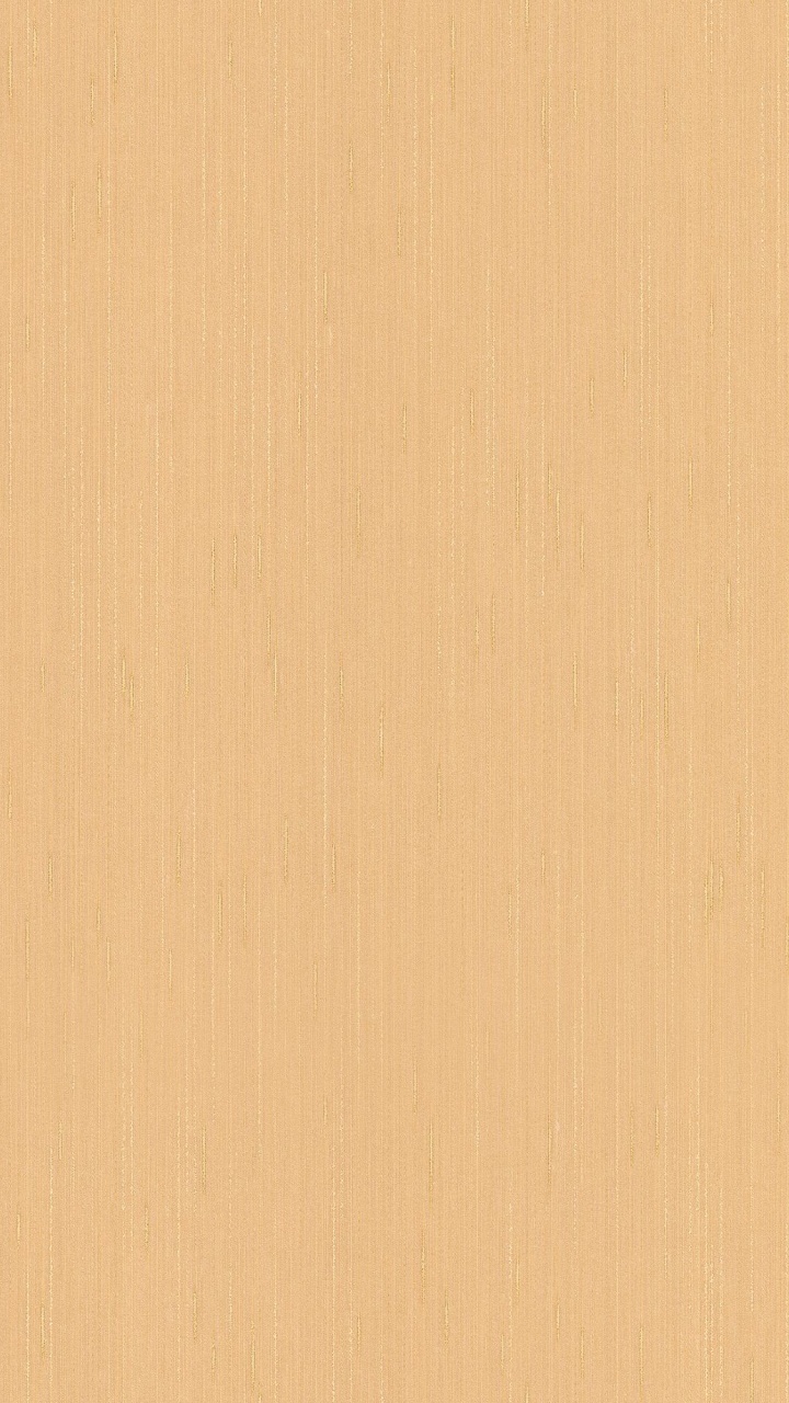 Peinture Murale Blanche Avec de la Peinture Brune. Wallpaper in 720x1280 Resolution