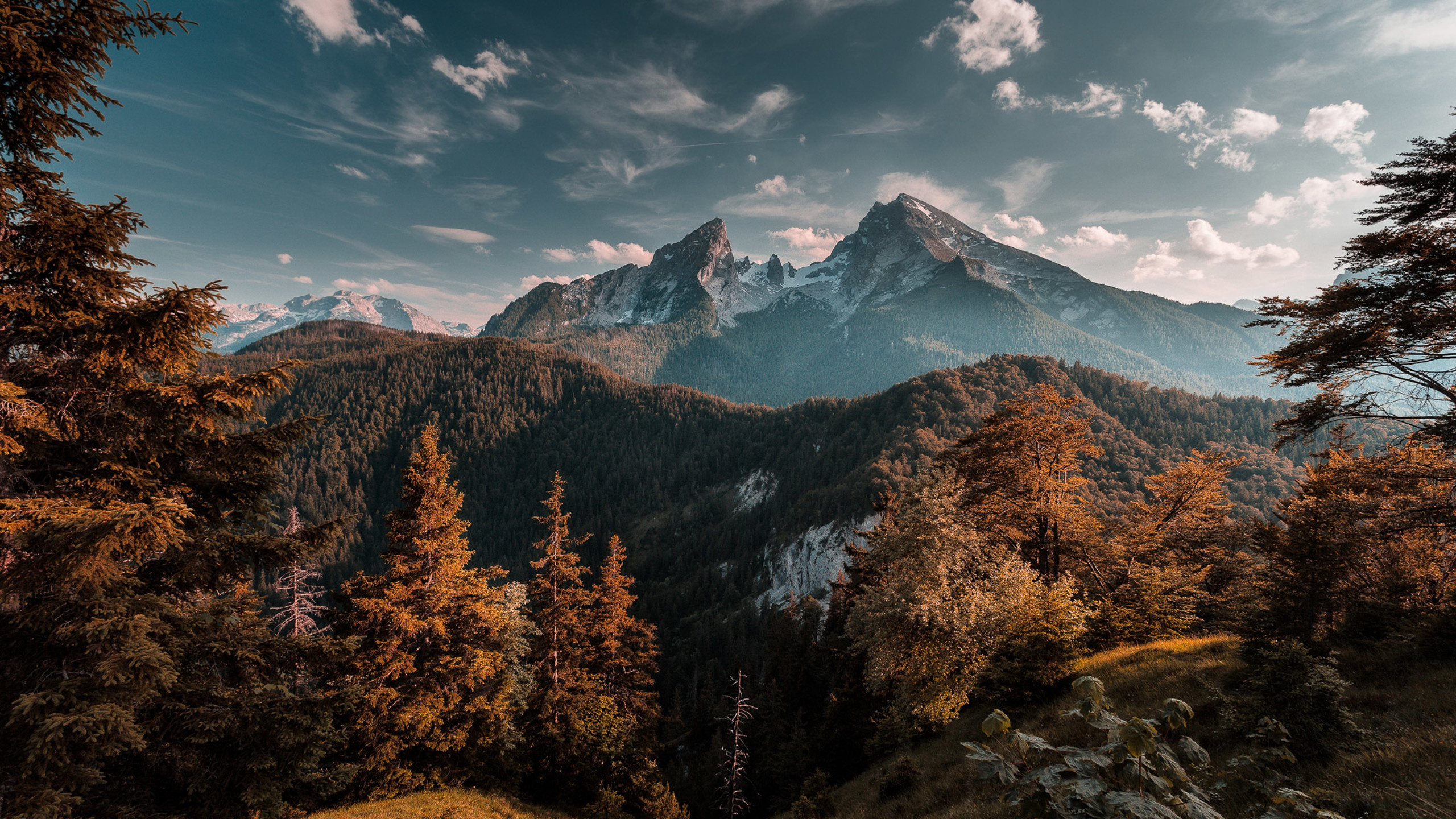Green and Brown Trees Near Mountain Under Blue Sky During Daytime. Wallpaper in 2560x1440 Resolution