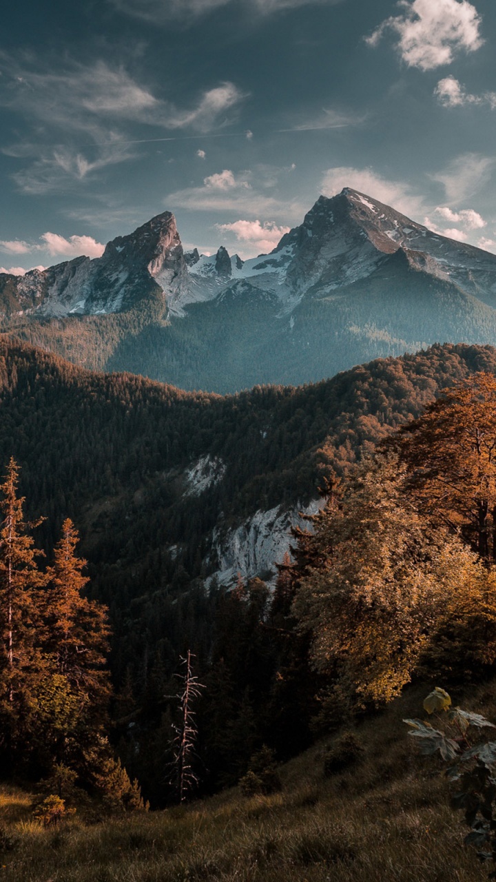 Green and Brown Trees Near Mountain Under Blue Sky During Daytime. Wallpaper in 720x1280 Resolution