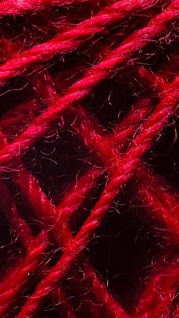 Close Up, Texture, Hair, Nature, Purple. Wallpaper in 750x1334 Resolution