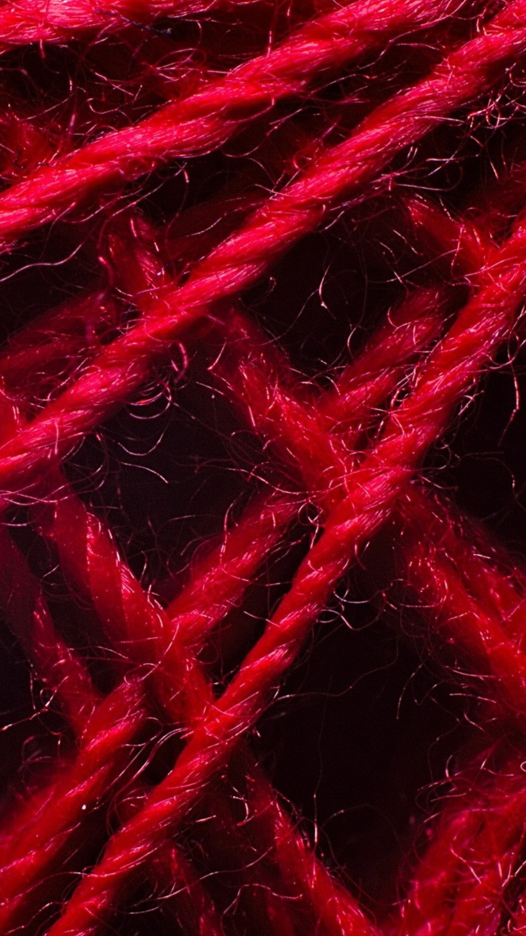 de Cerca, Textura, Cabello, Naturaleza, Morado. Wallpaper in 1080x1920 Resolution