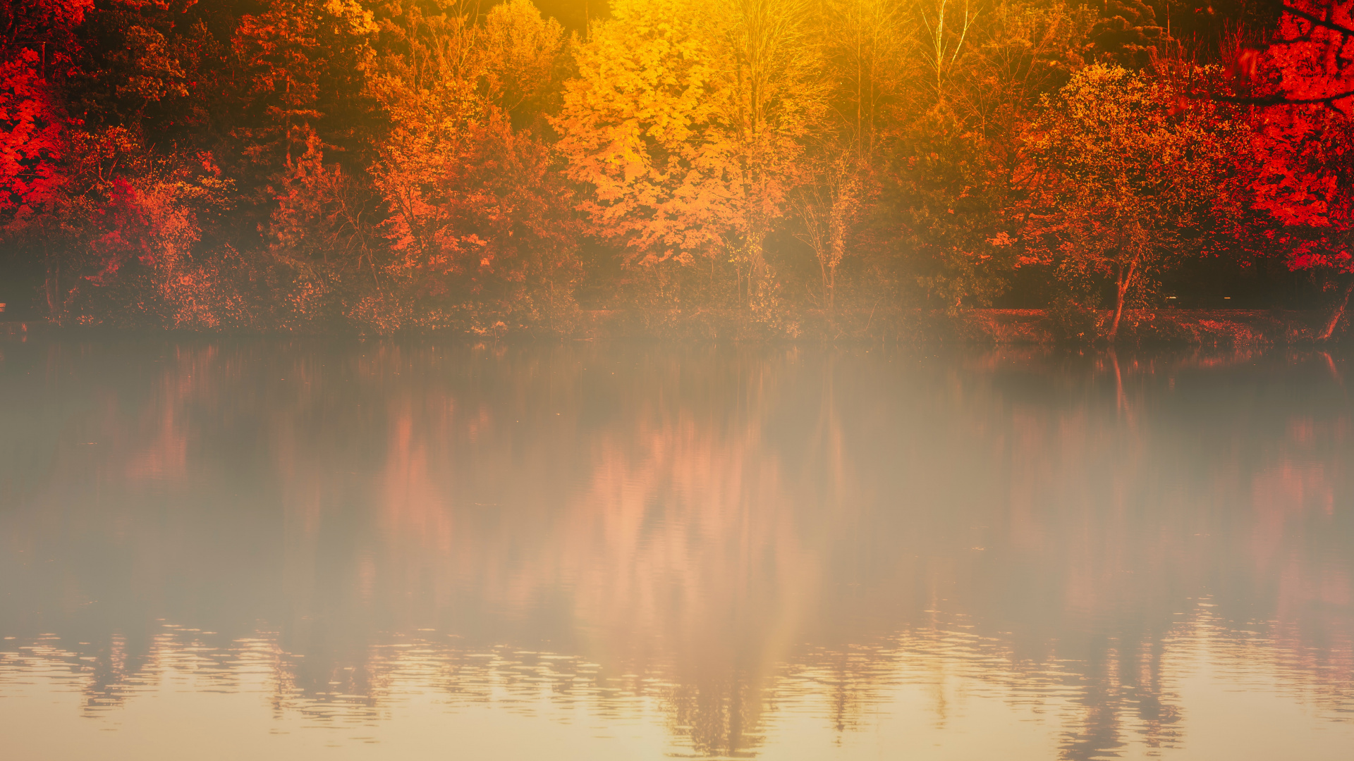 Morgen, Wasser, Tageszeit, Herbst, Reflexion. Wallpaper in 1920x1080 Resolution